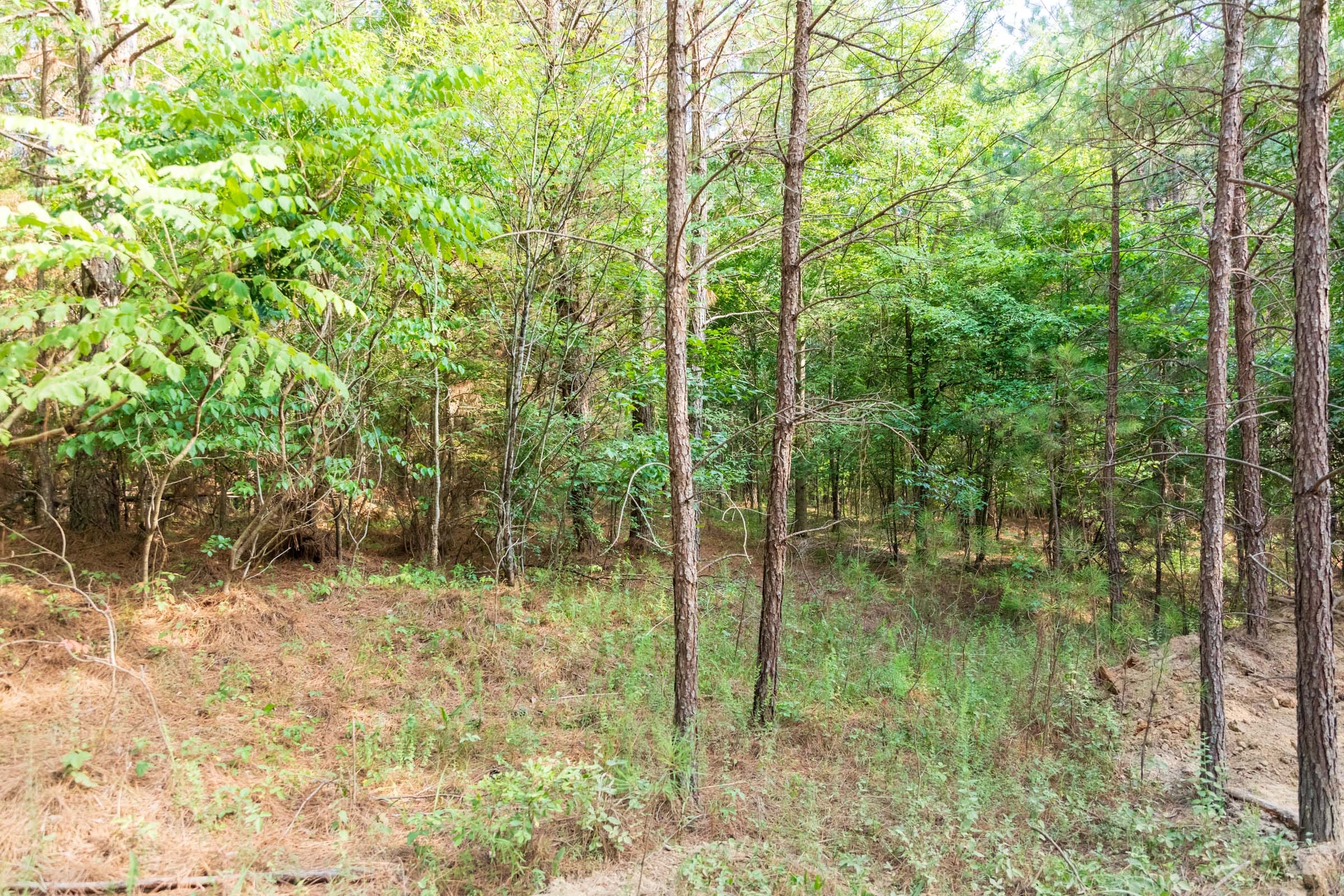 Whiskey Ridge Tract 64 photo 8