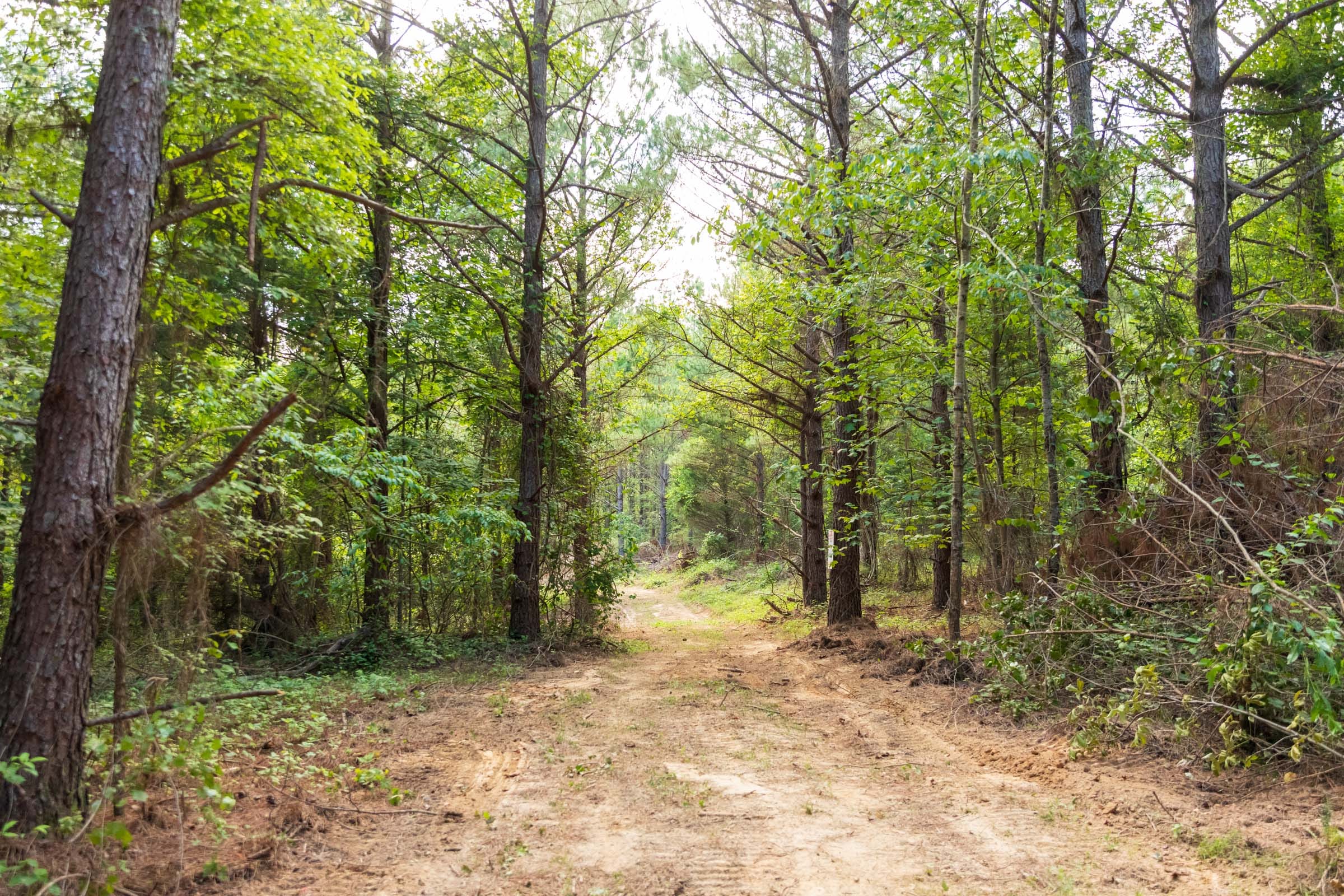Whiskey Ridge Tract 64 photo 2