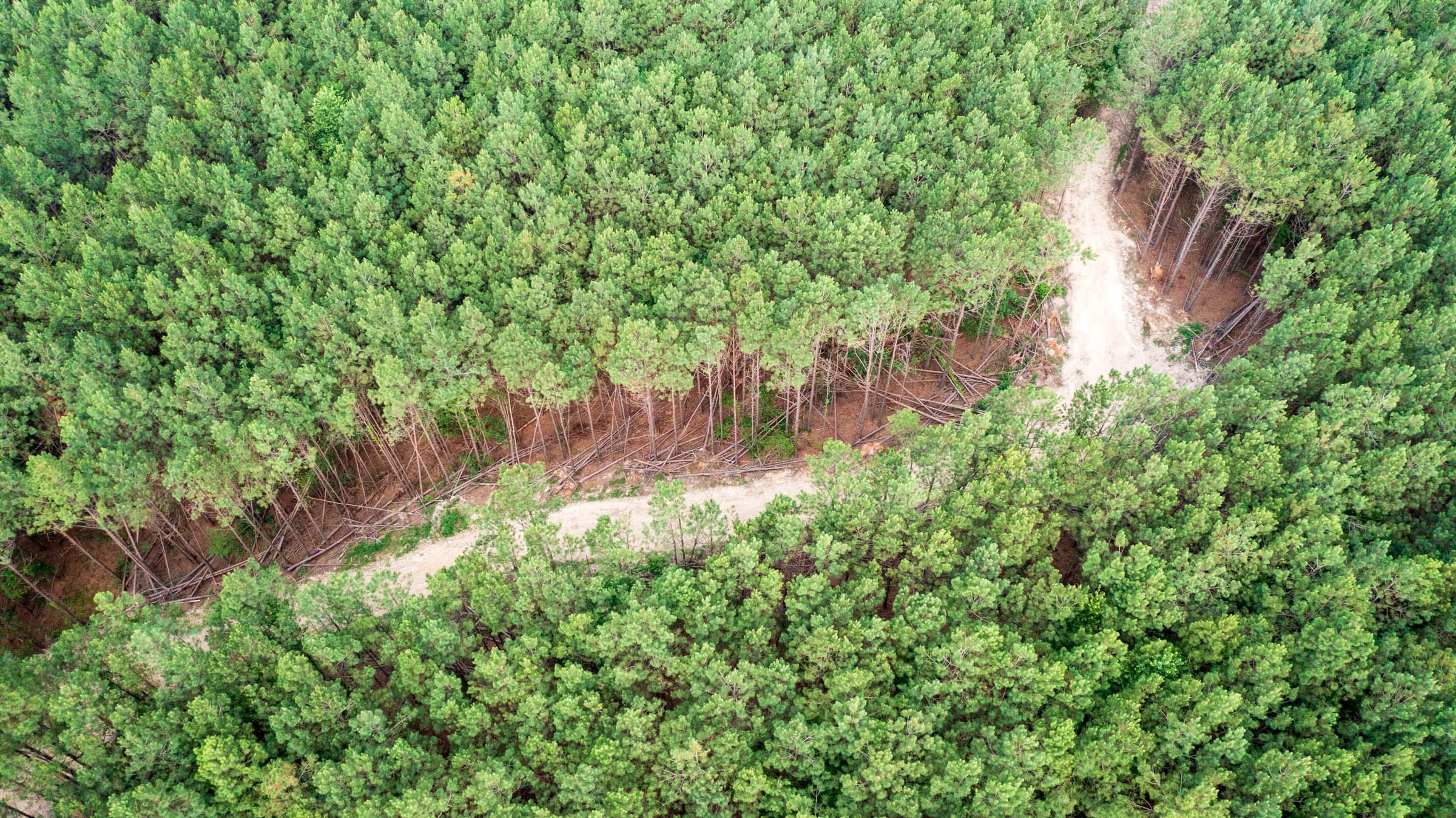 Whiskey Ridge Tract 64 photo 1