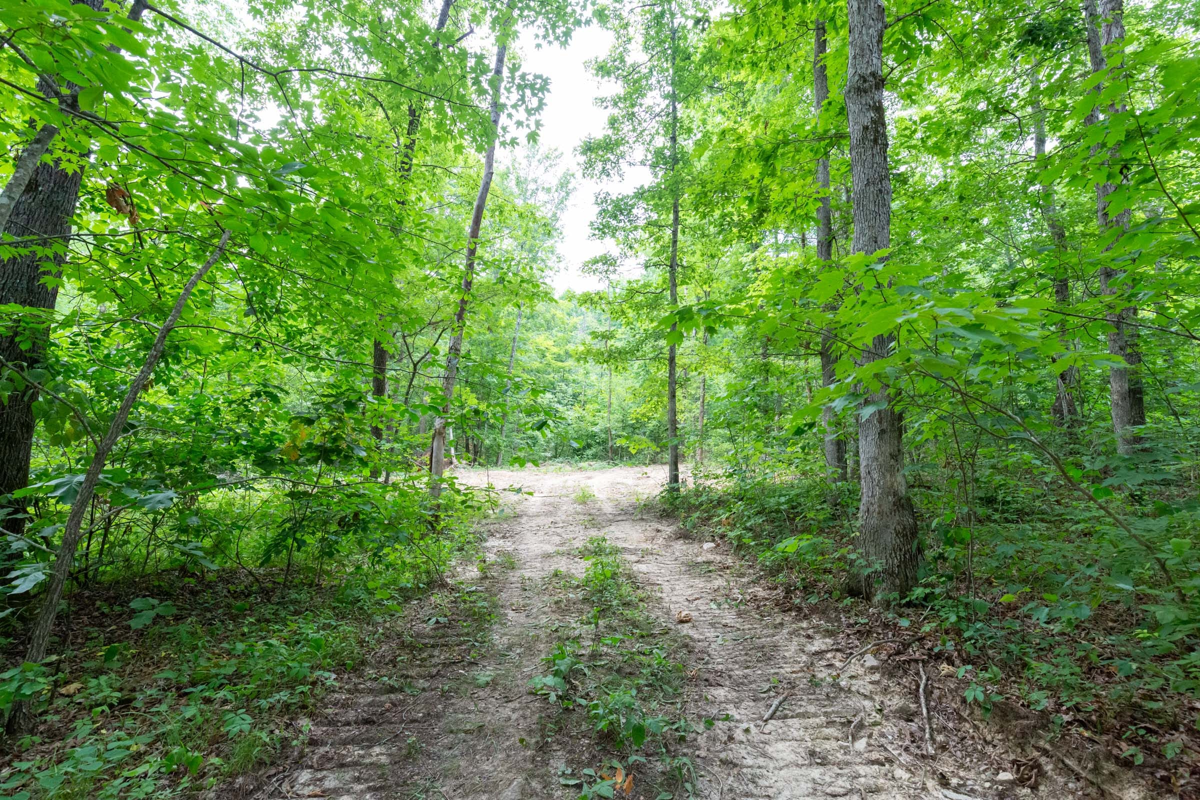 Tucker Hollow Tract 11 photo 2