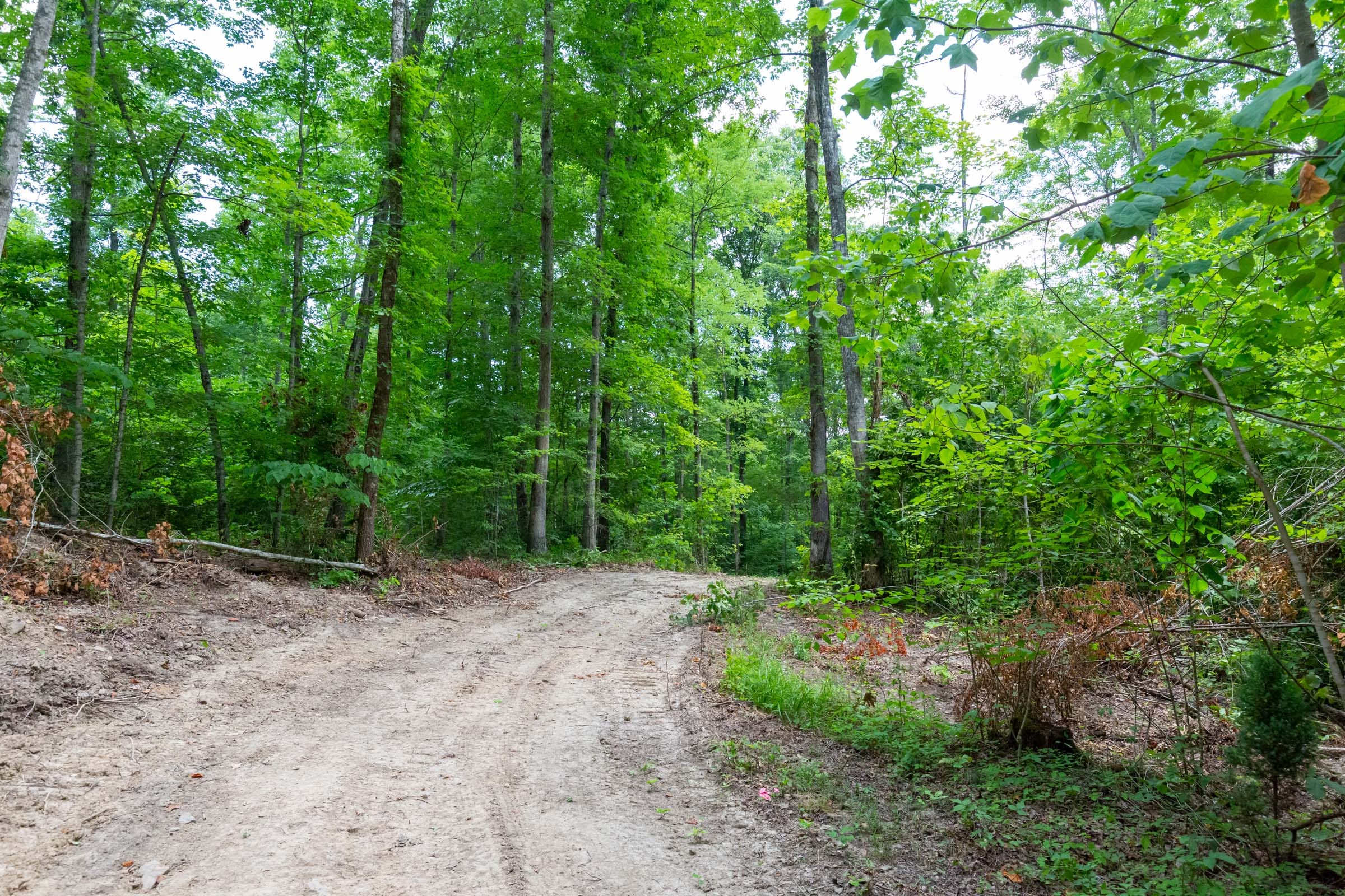 Tucker Hollow Tract 11 photo 9