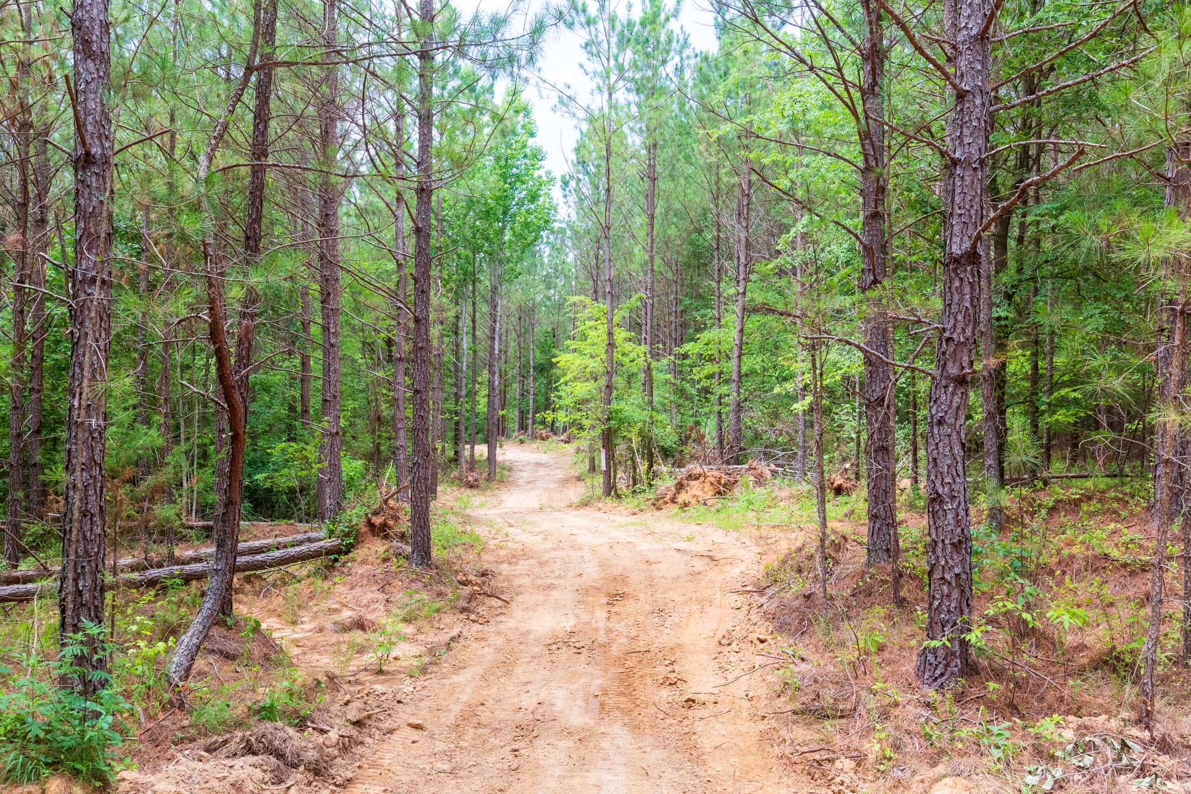 Whiskey Ridge Tract 106 photo 2