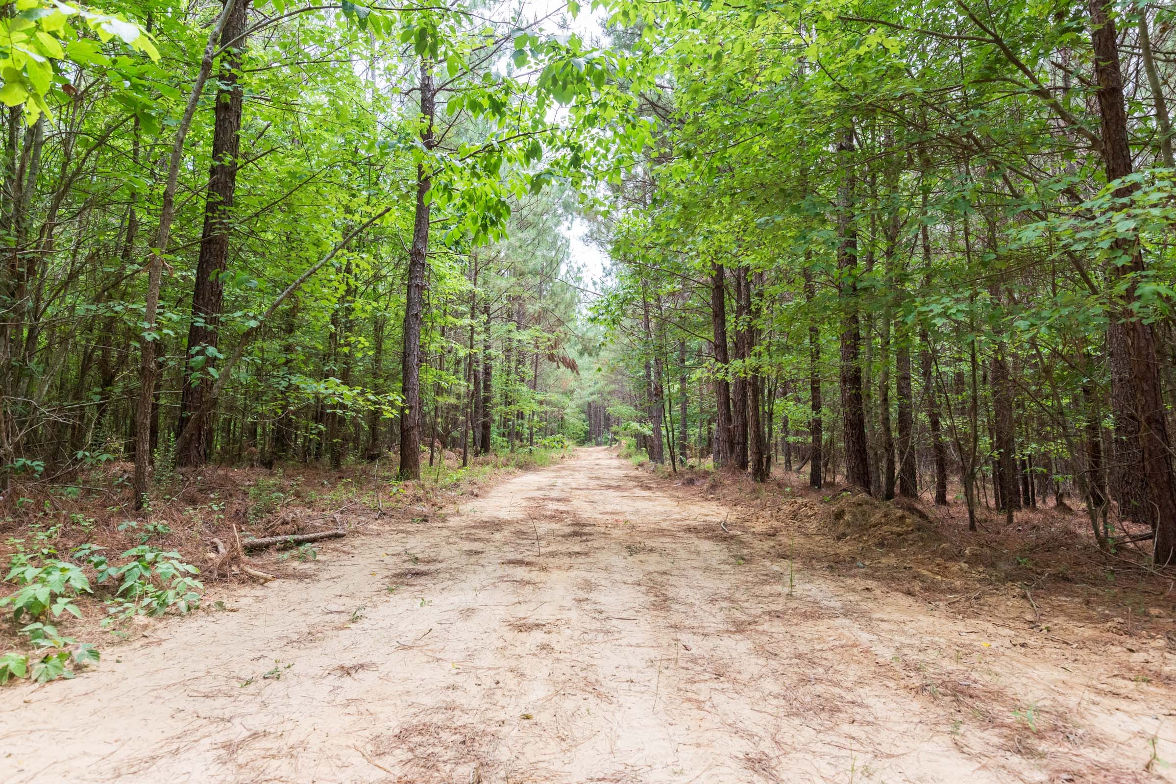 Whiskey Ridge Tract 106 photo 9