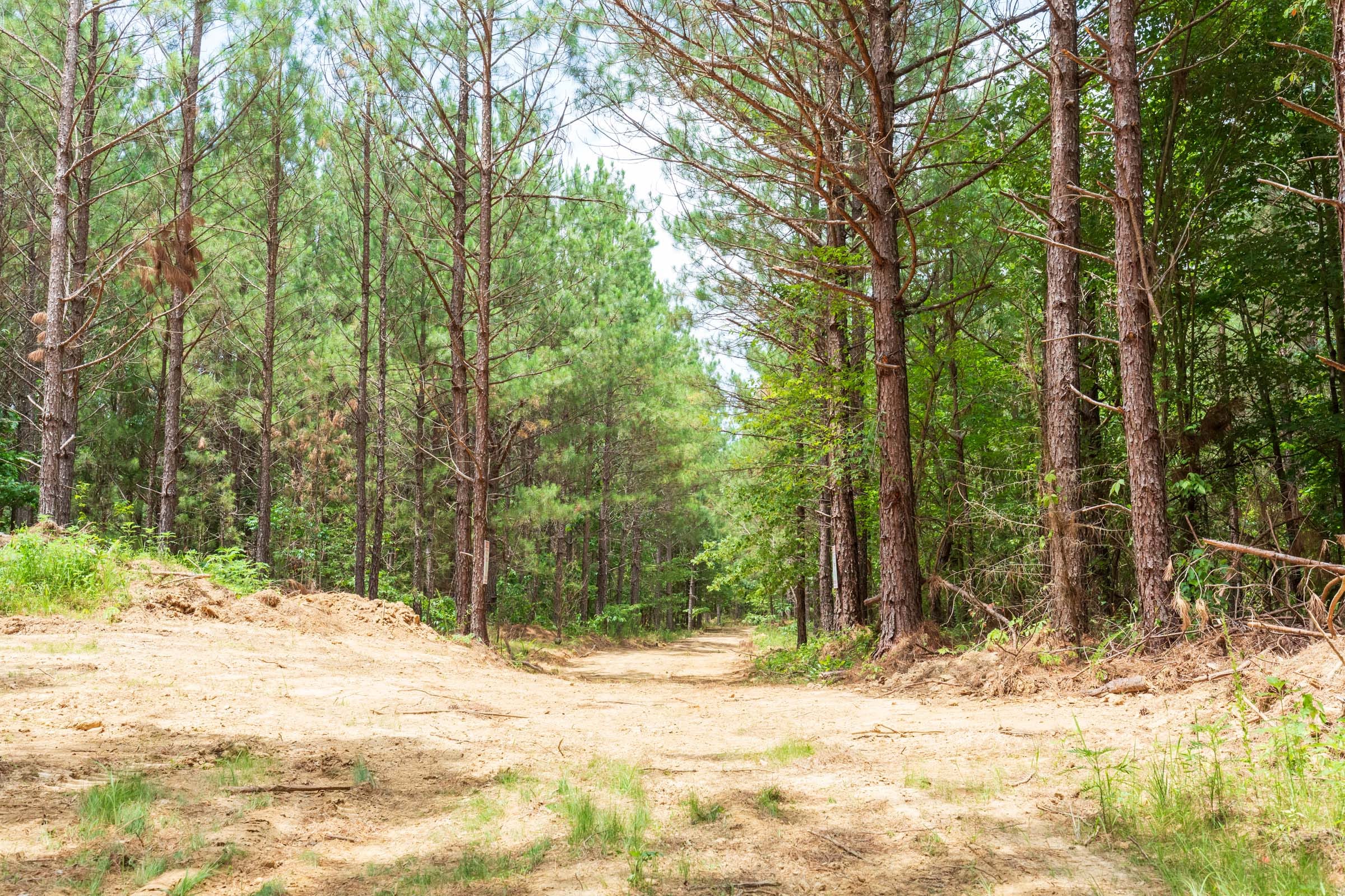 Whiskey Ridge Tract 106 photo 15
