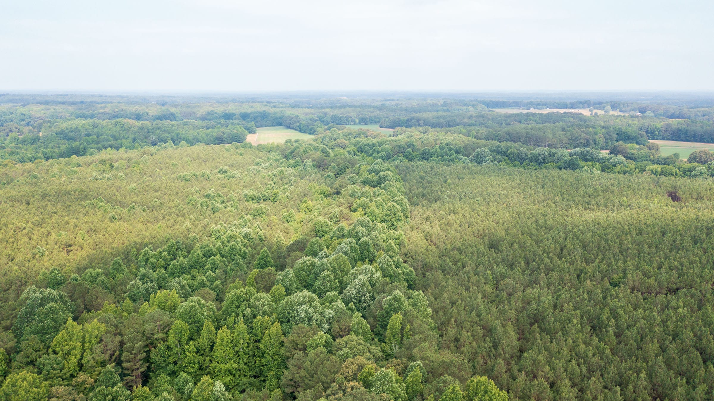 Whiskey Ridge Tract 106 photo 1