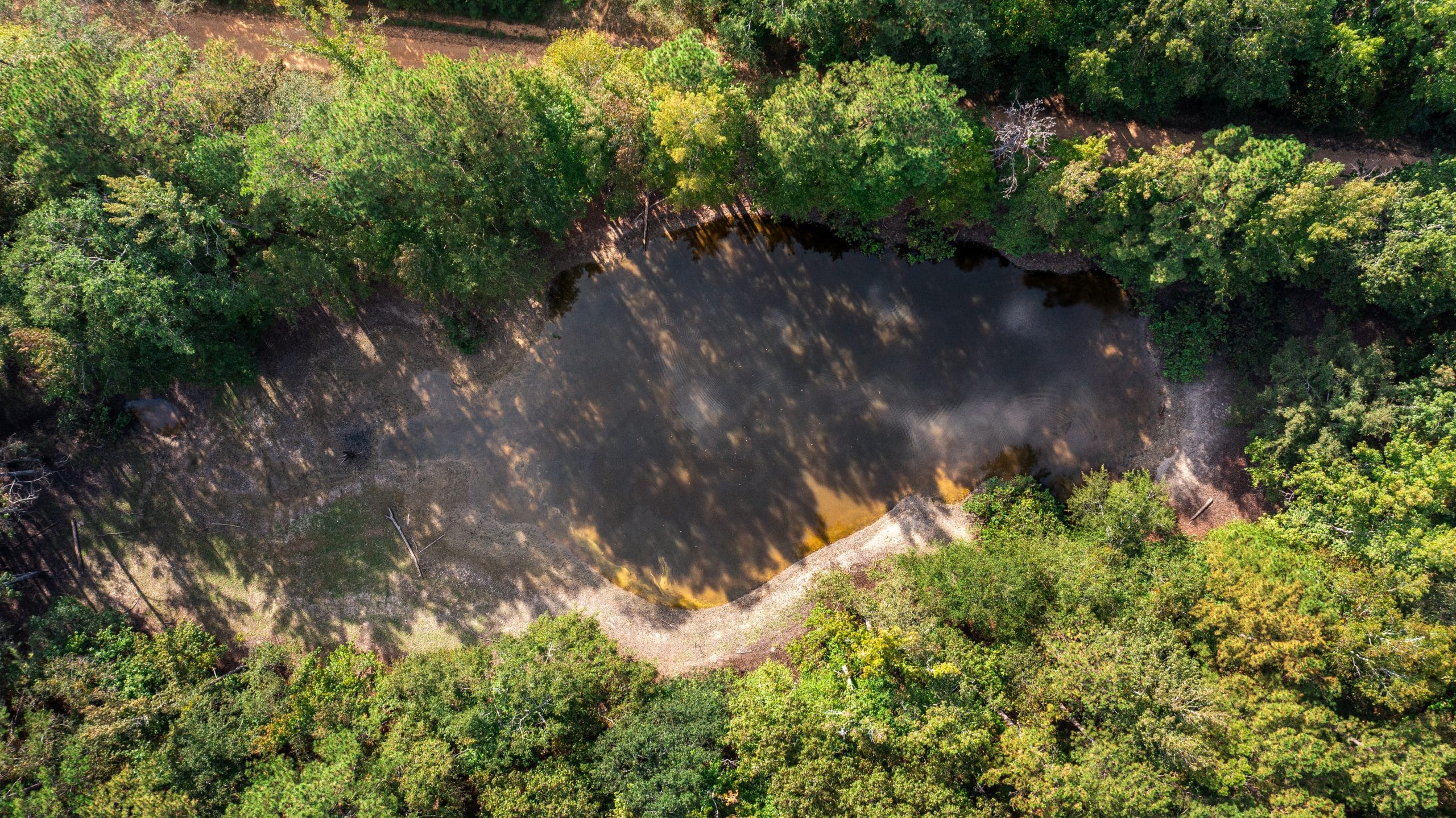 Willow Grove Tract 7 photo 9