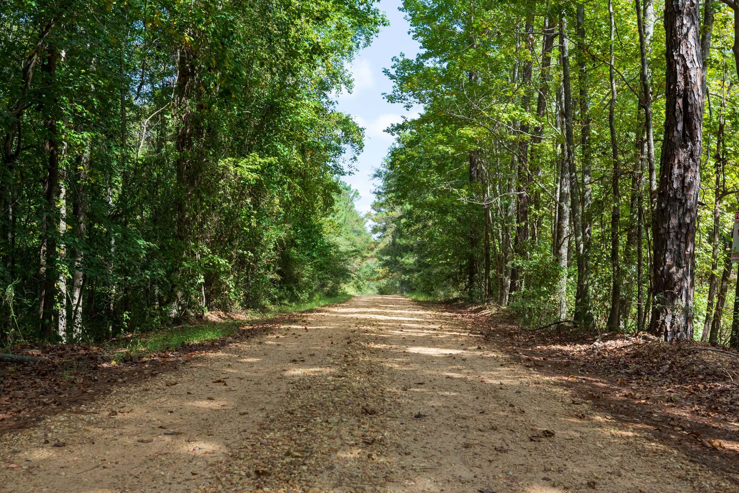 Willow Grove Tract 7 photo 1