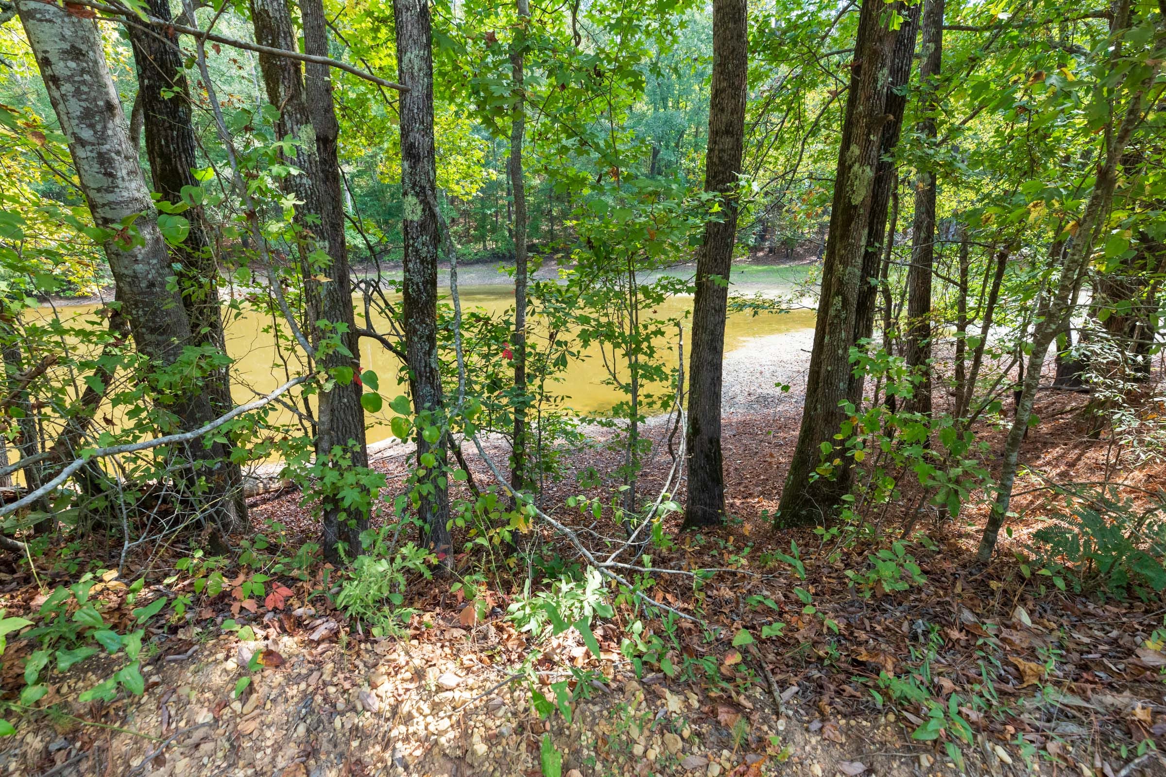Willow Grove Tract 7 photo 4