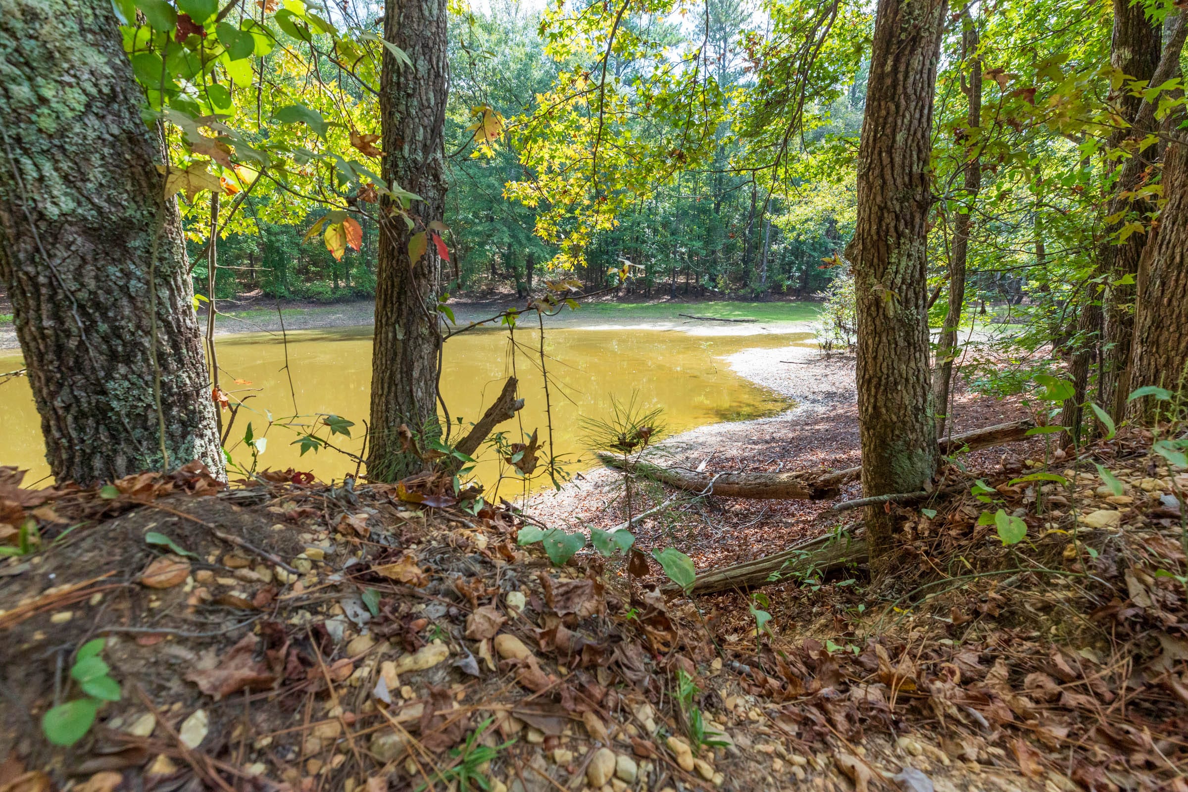 Willow Grove Tract 7 photo 5