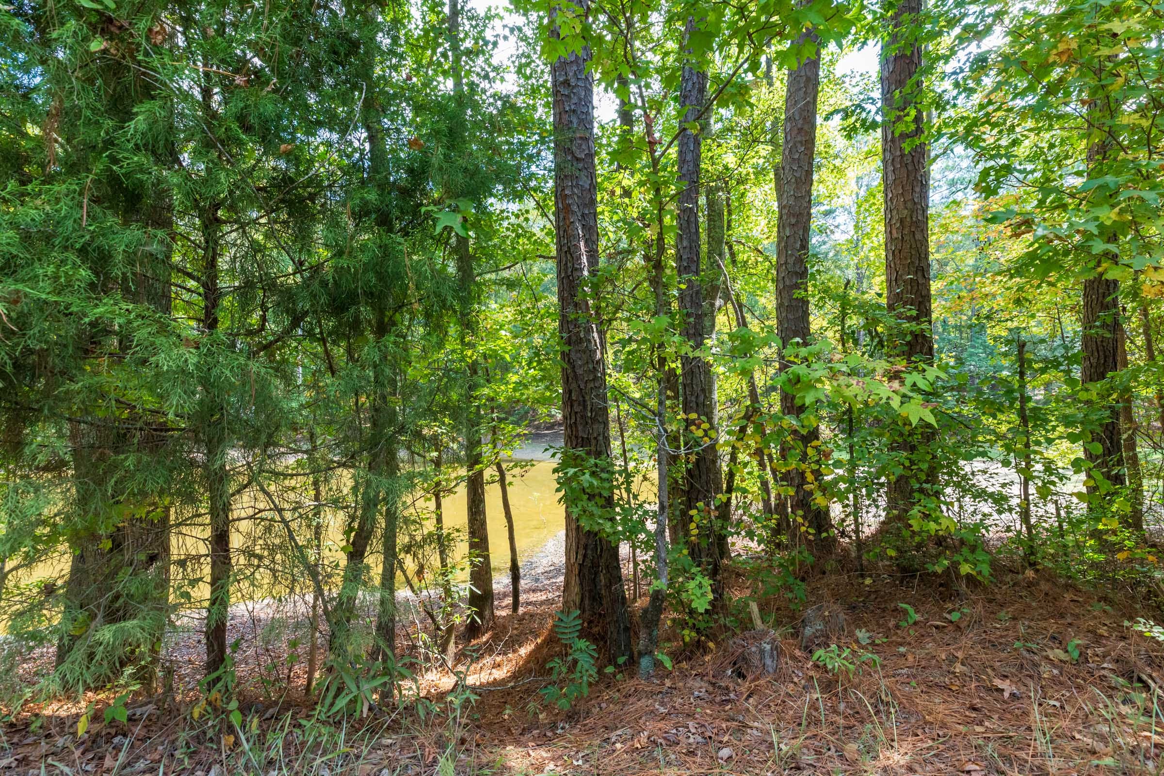 Willow Grove Tract 7 photo 6