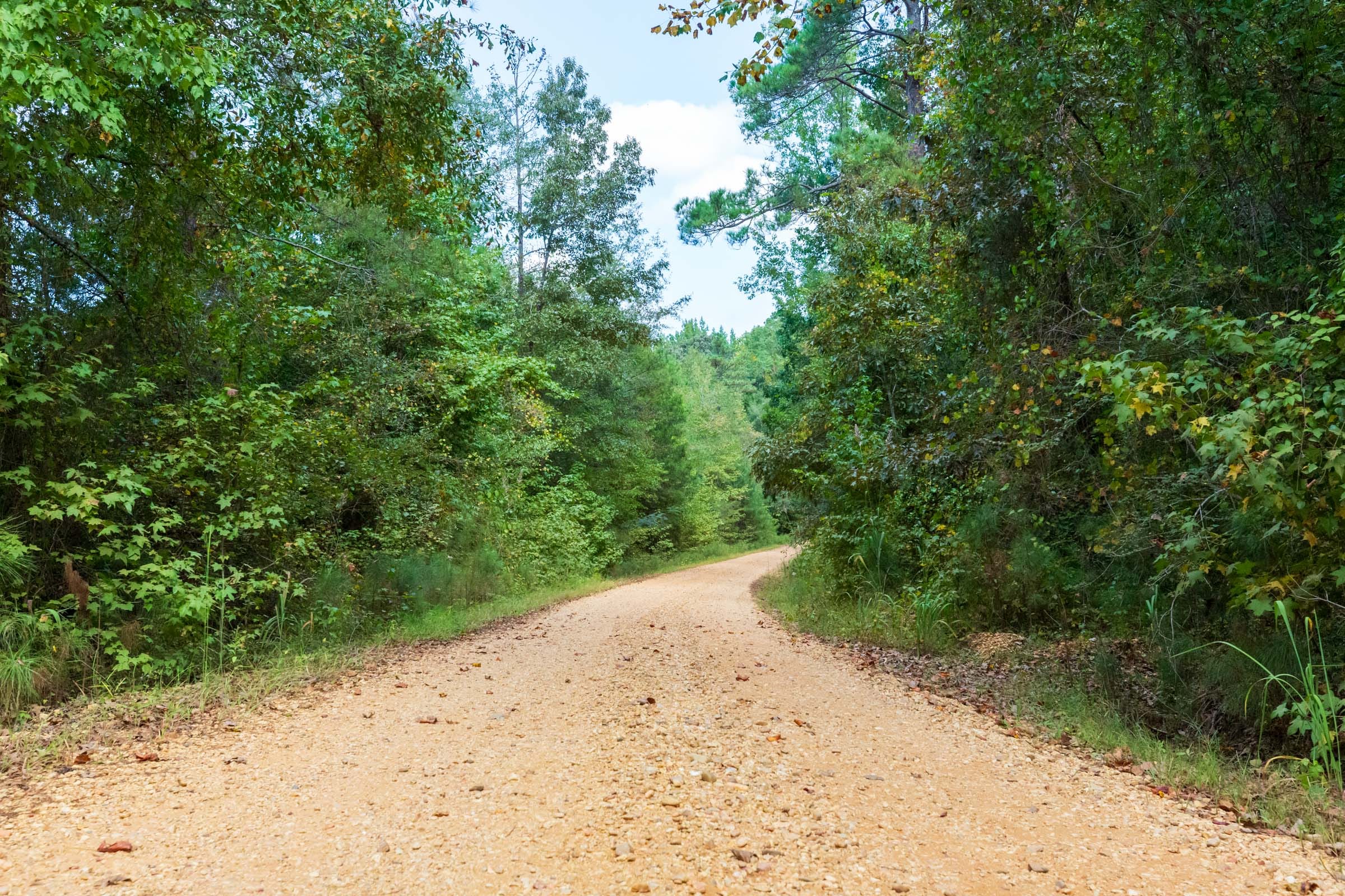 Willow Grove Tract 7 photo 8