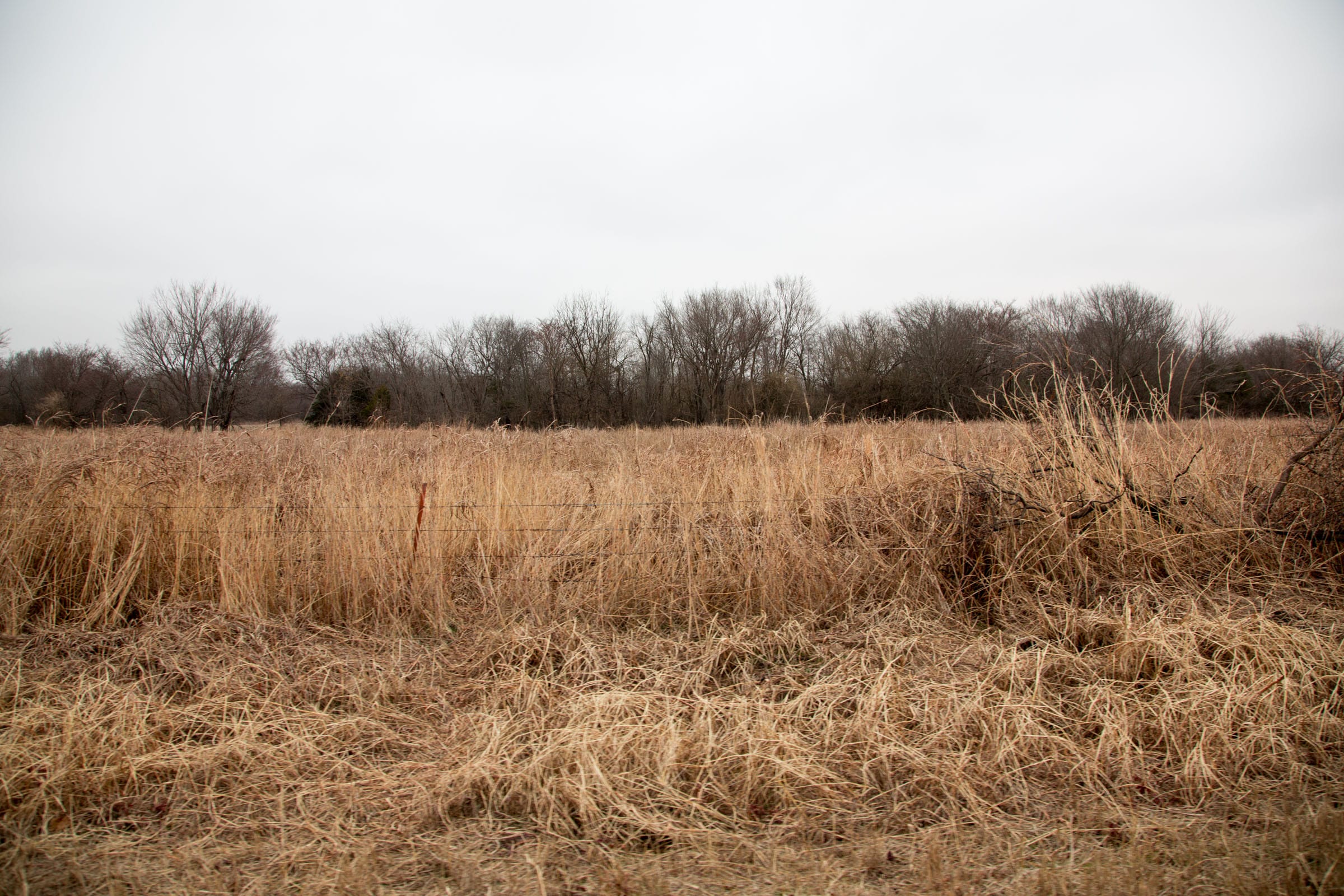 Canadian Plains Tract 17 photo 2