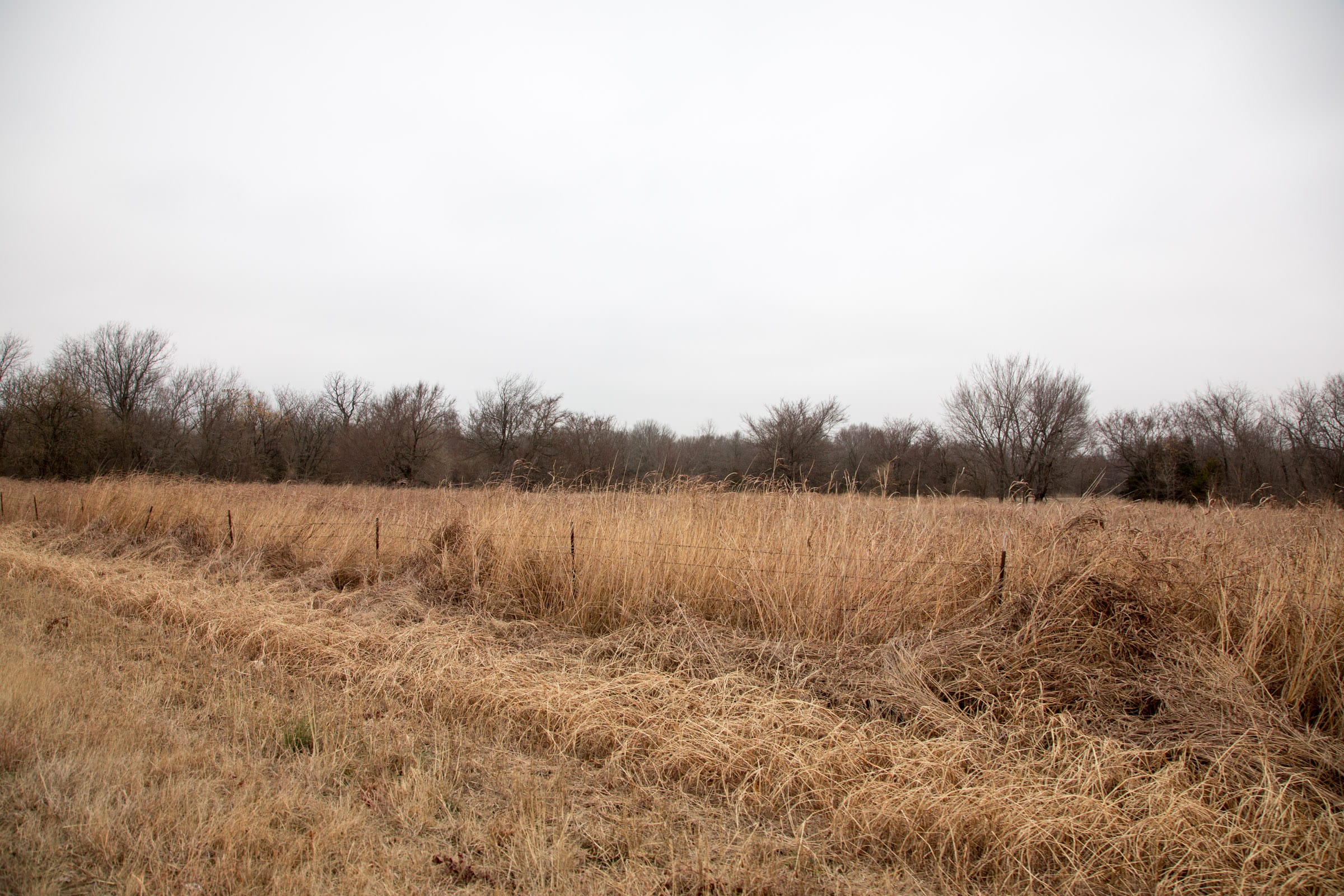 Canadian Plains Tract 17 photo 3