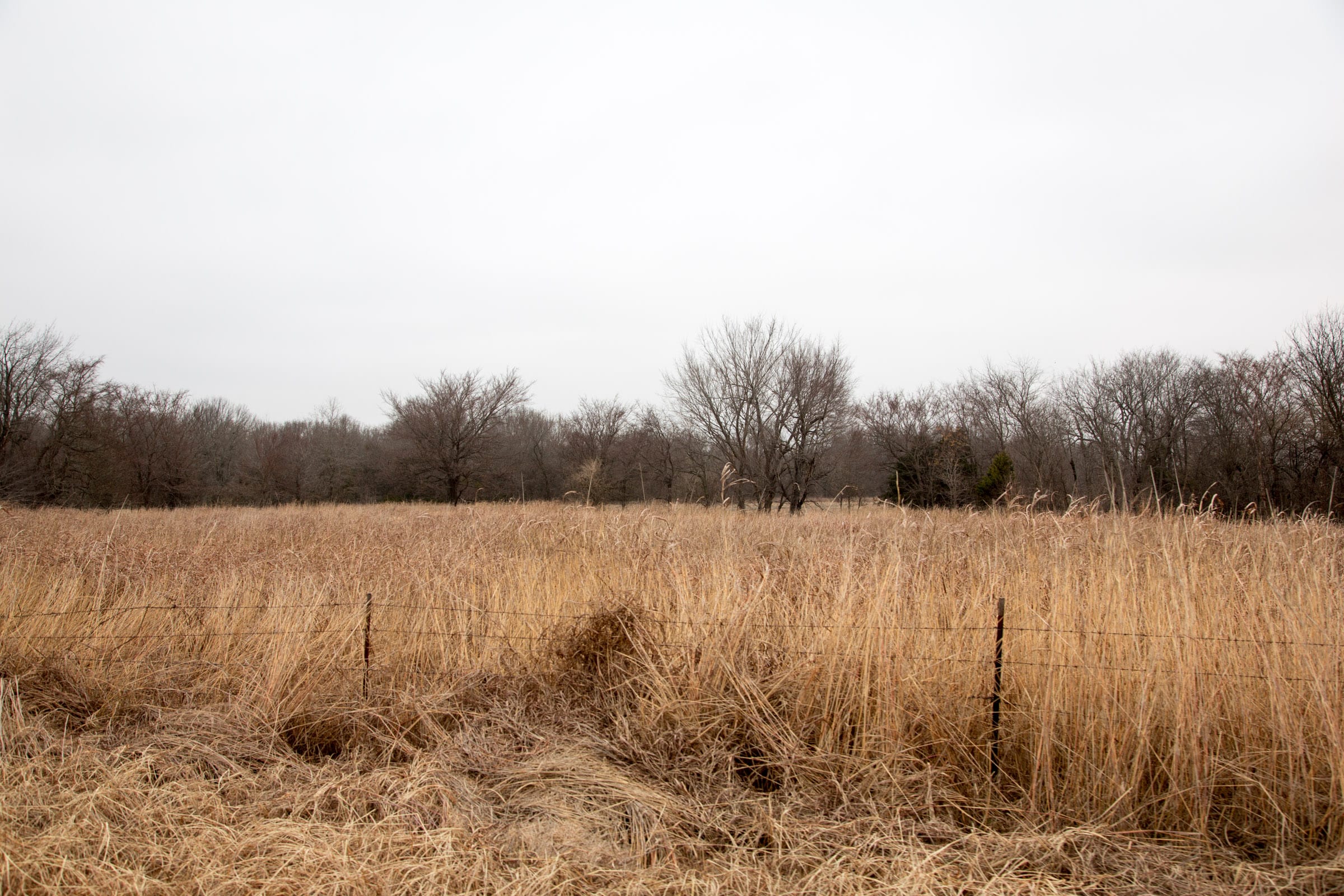Canadian Plains Tract 17 photo 4