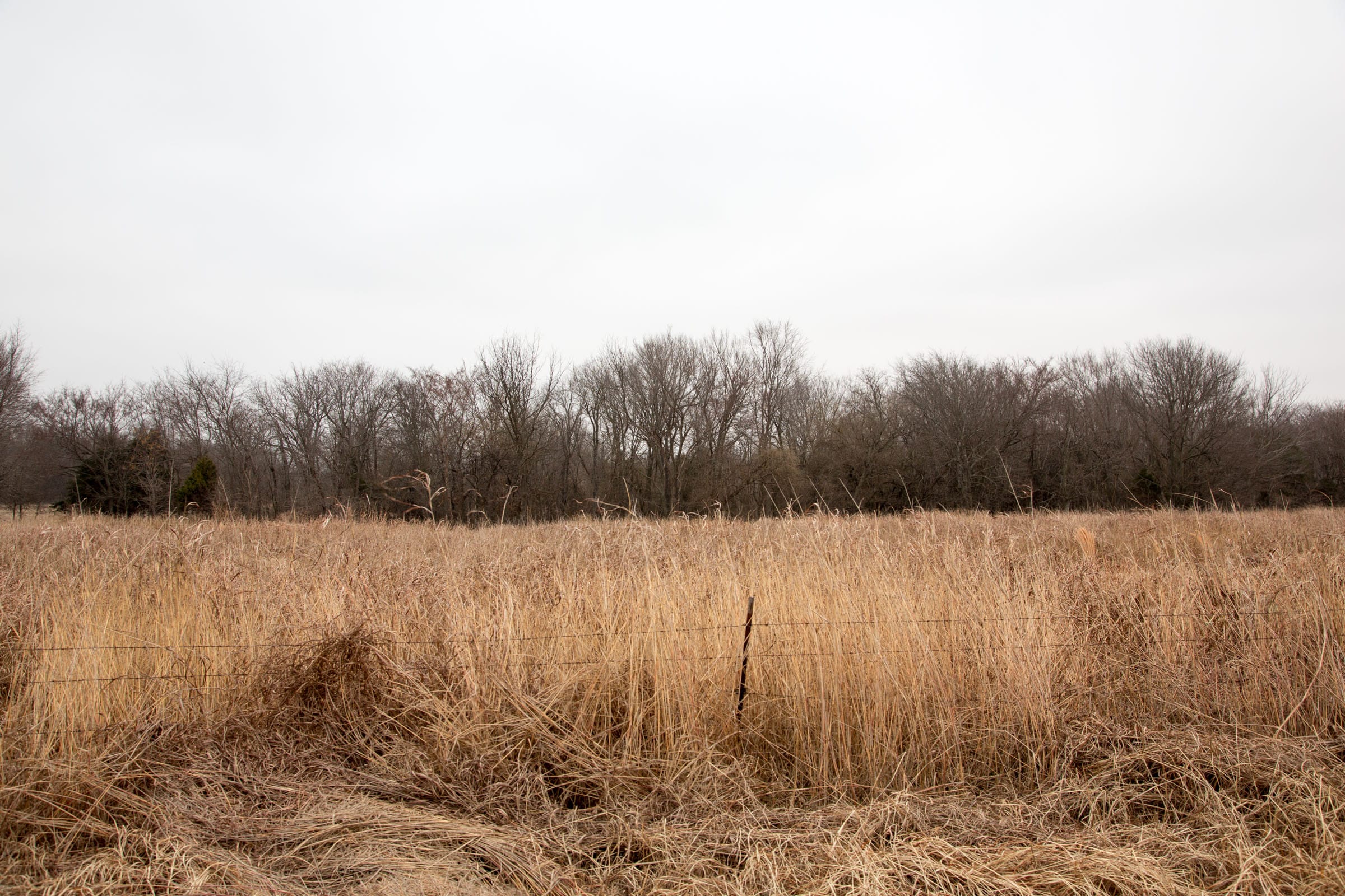 Canadian Plains Tract 17 photo 5