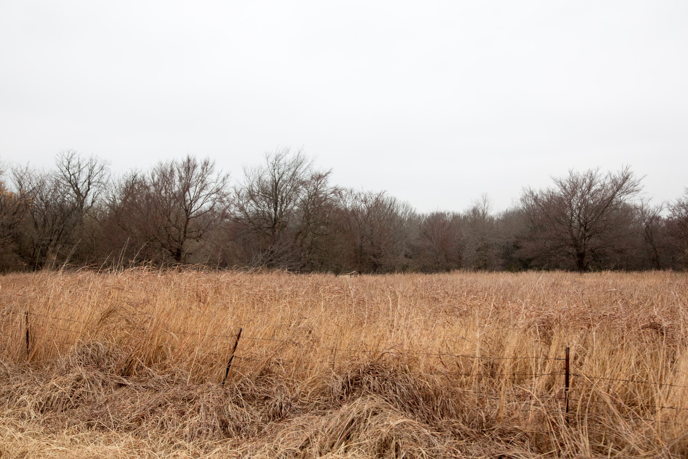 Canadian Plains Tract 17 photo 6