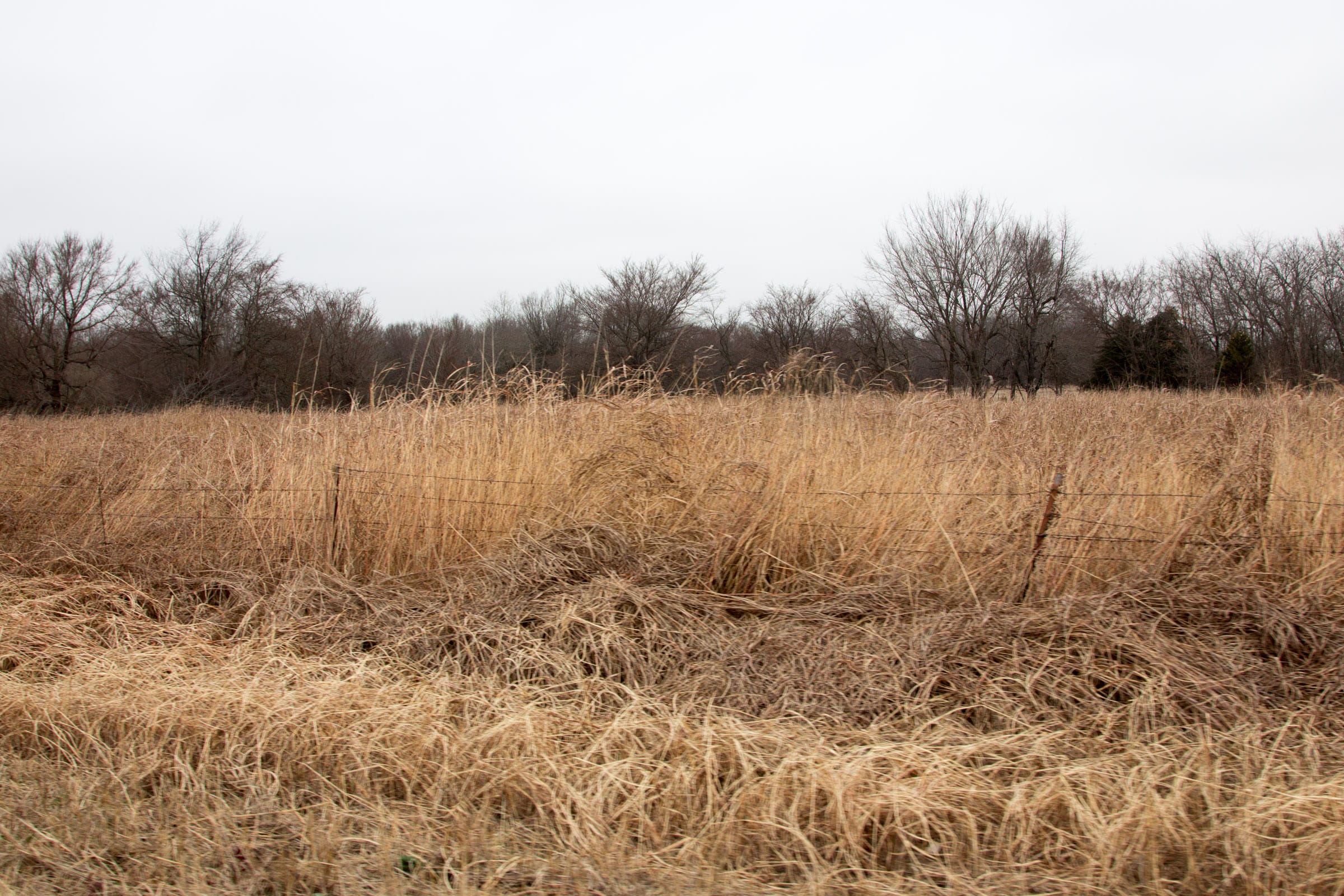 Canadian Plains Tract 17 photo 8