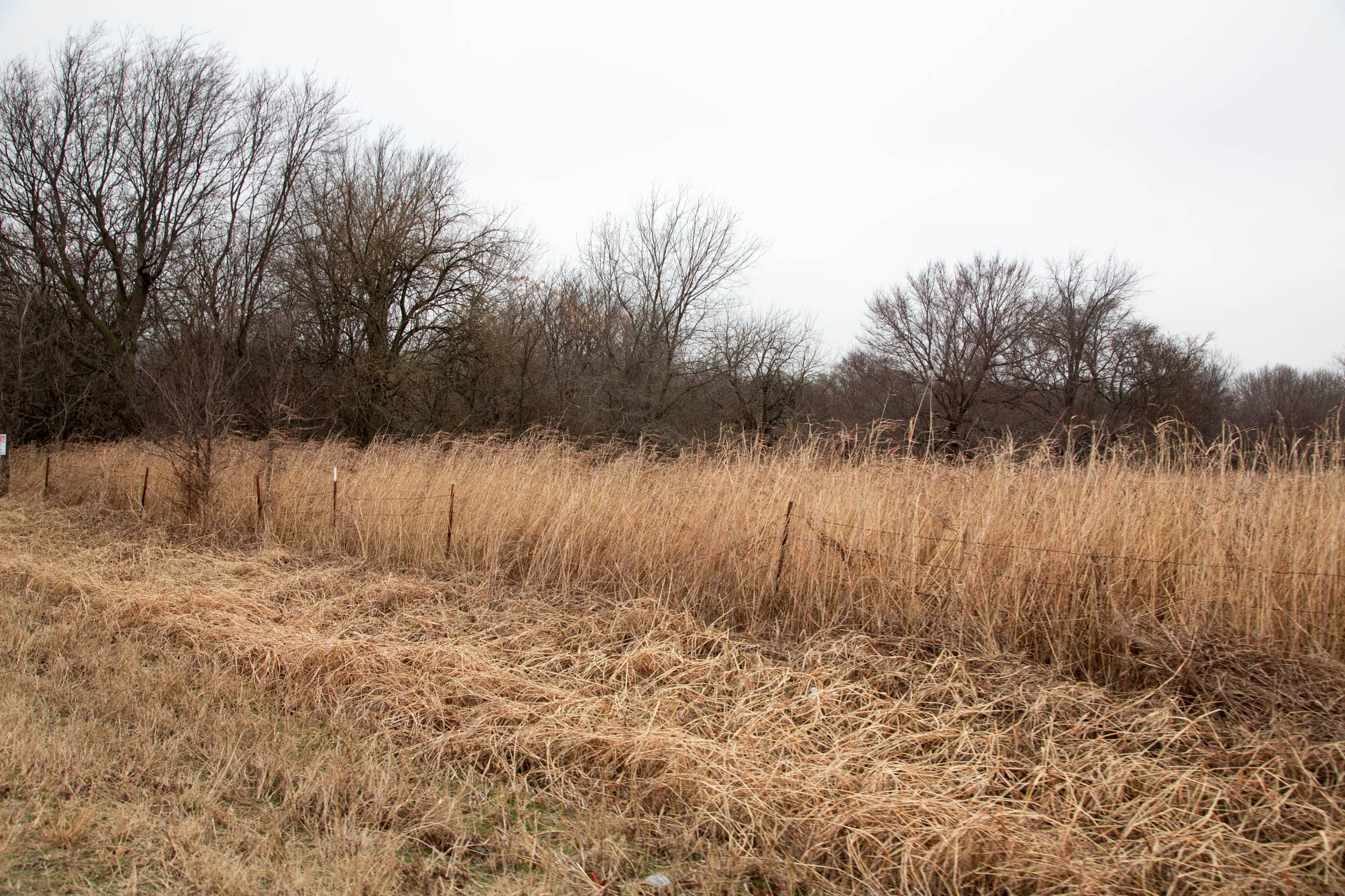 Canadian Plains Tract 17 photo 9