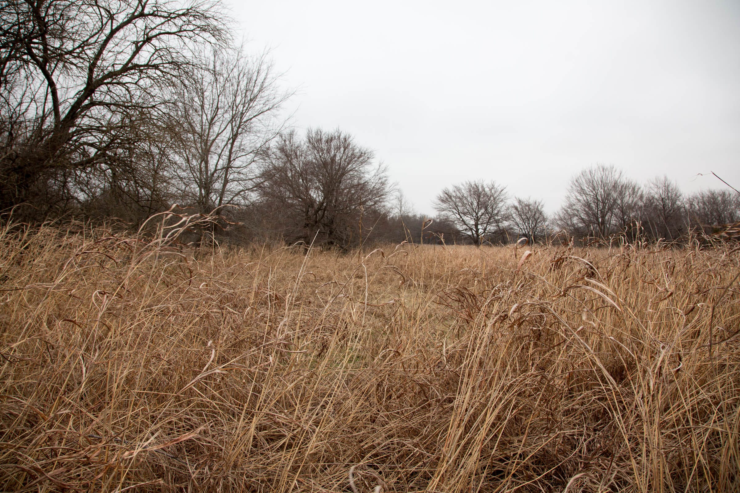 Canadian Plains Tract 17 photo 10