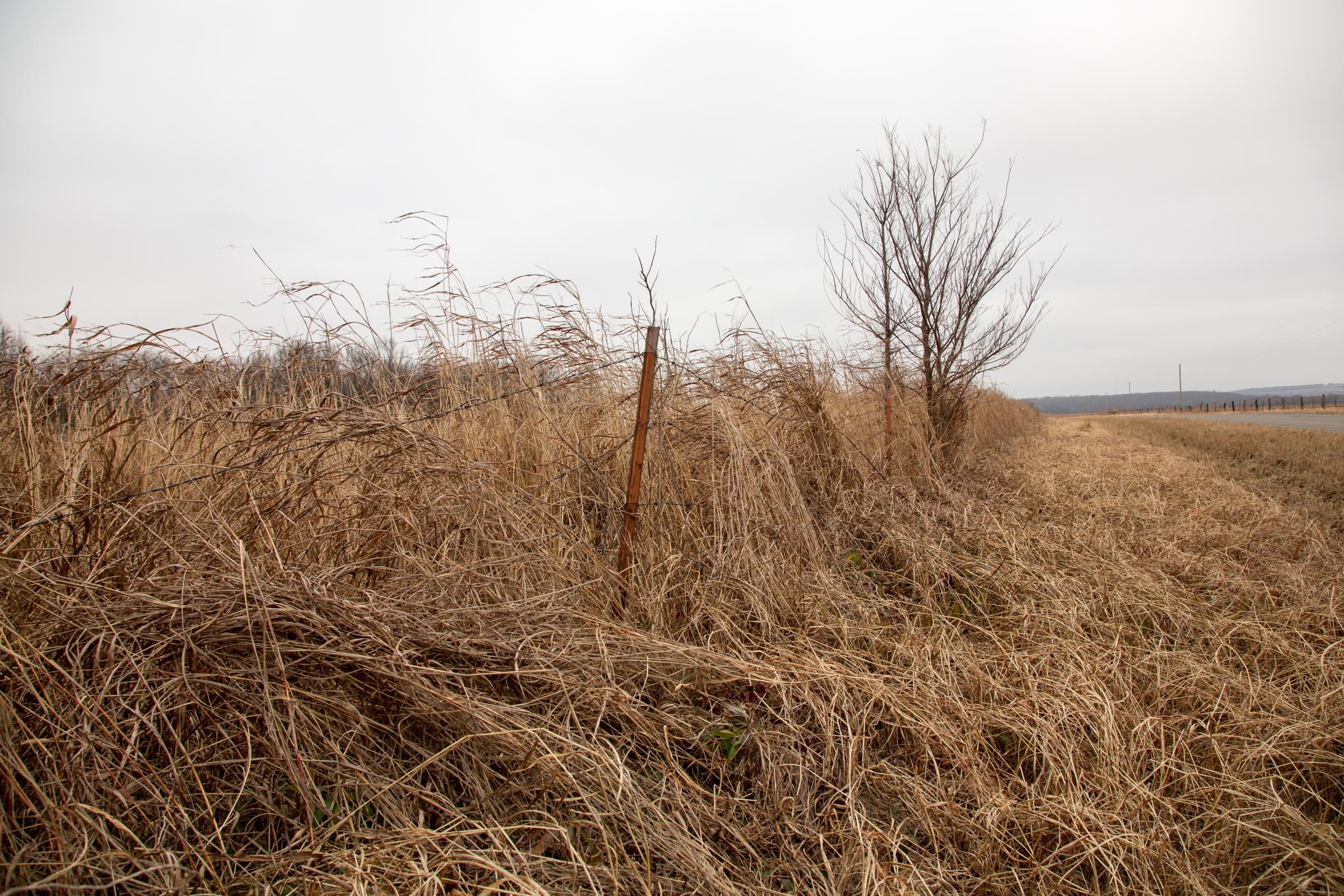 Canadian Plains Tract 17 photo 11