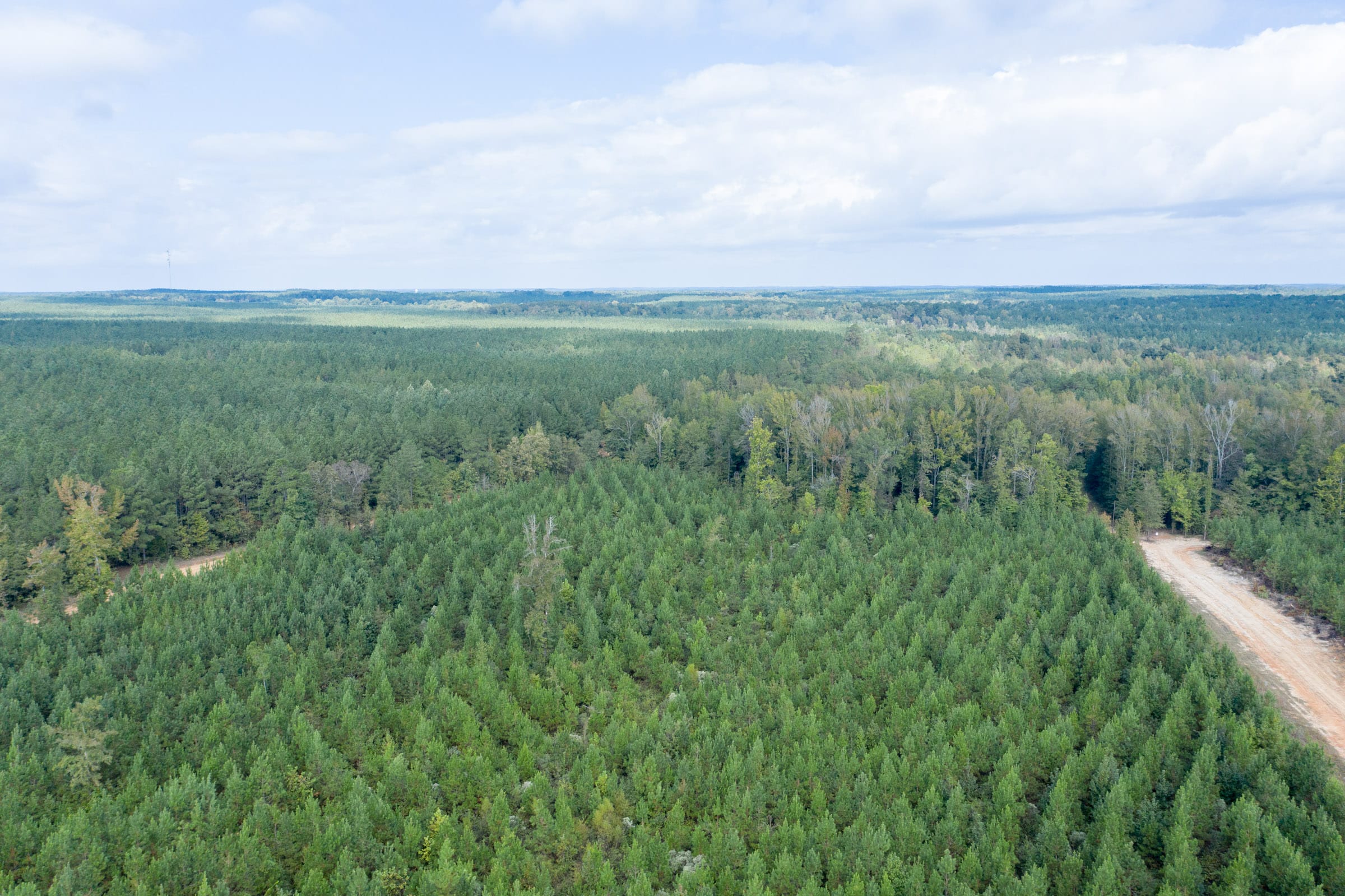 Brentwood Tract 9 photo 6