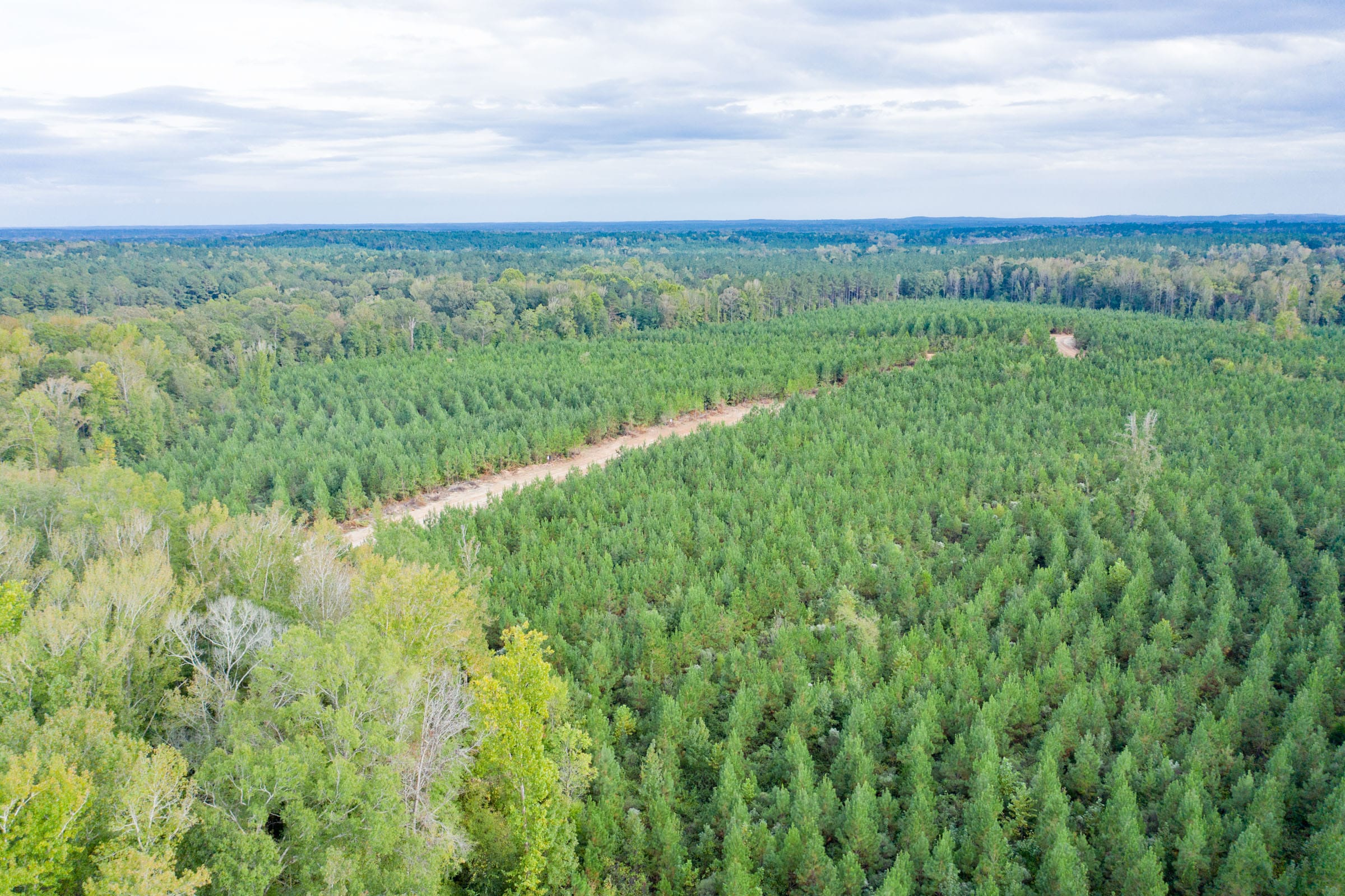 Brentwood Tract 9 photo 8