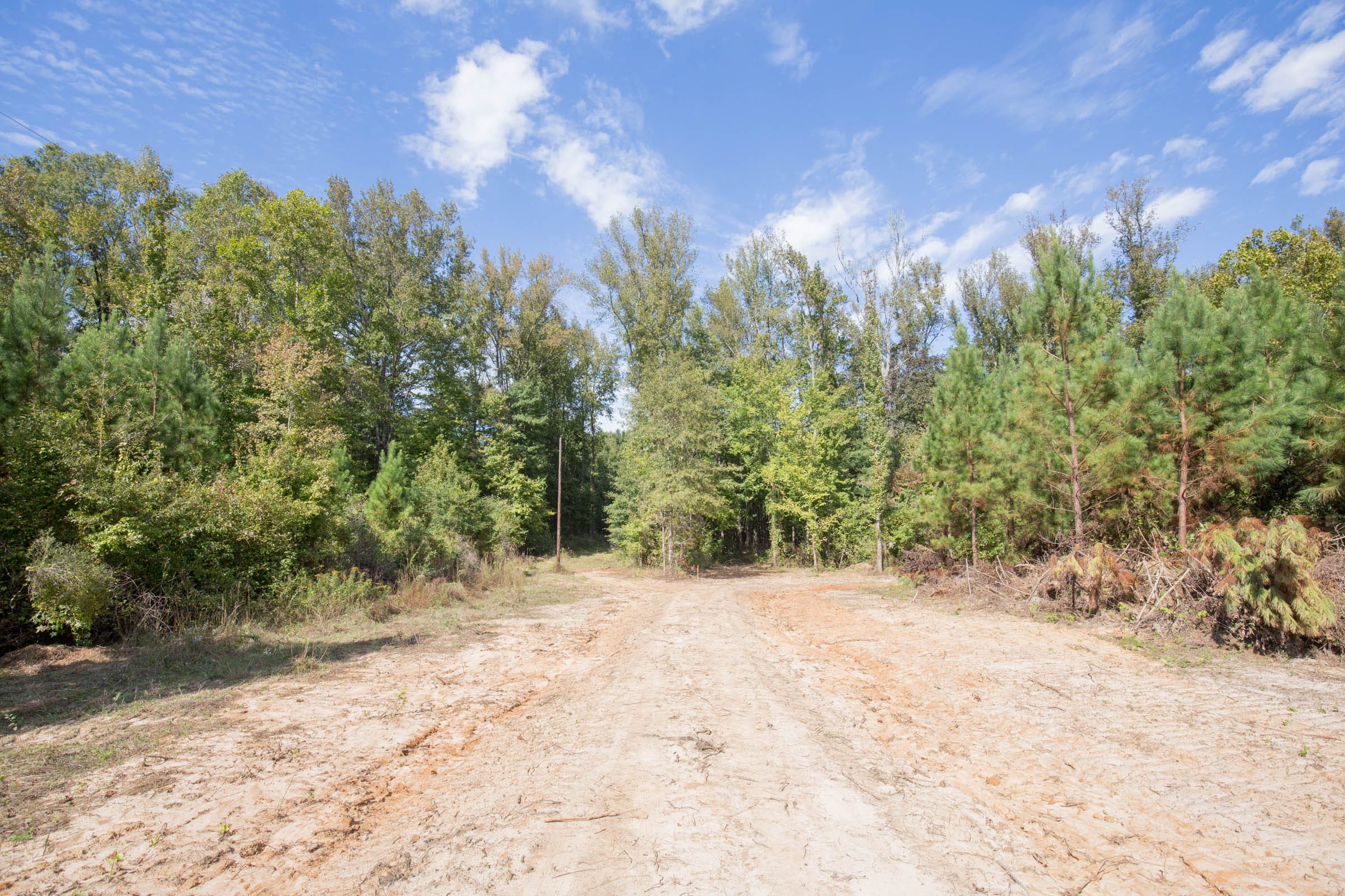 Brentwood Tract 9 photo 5