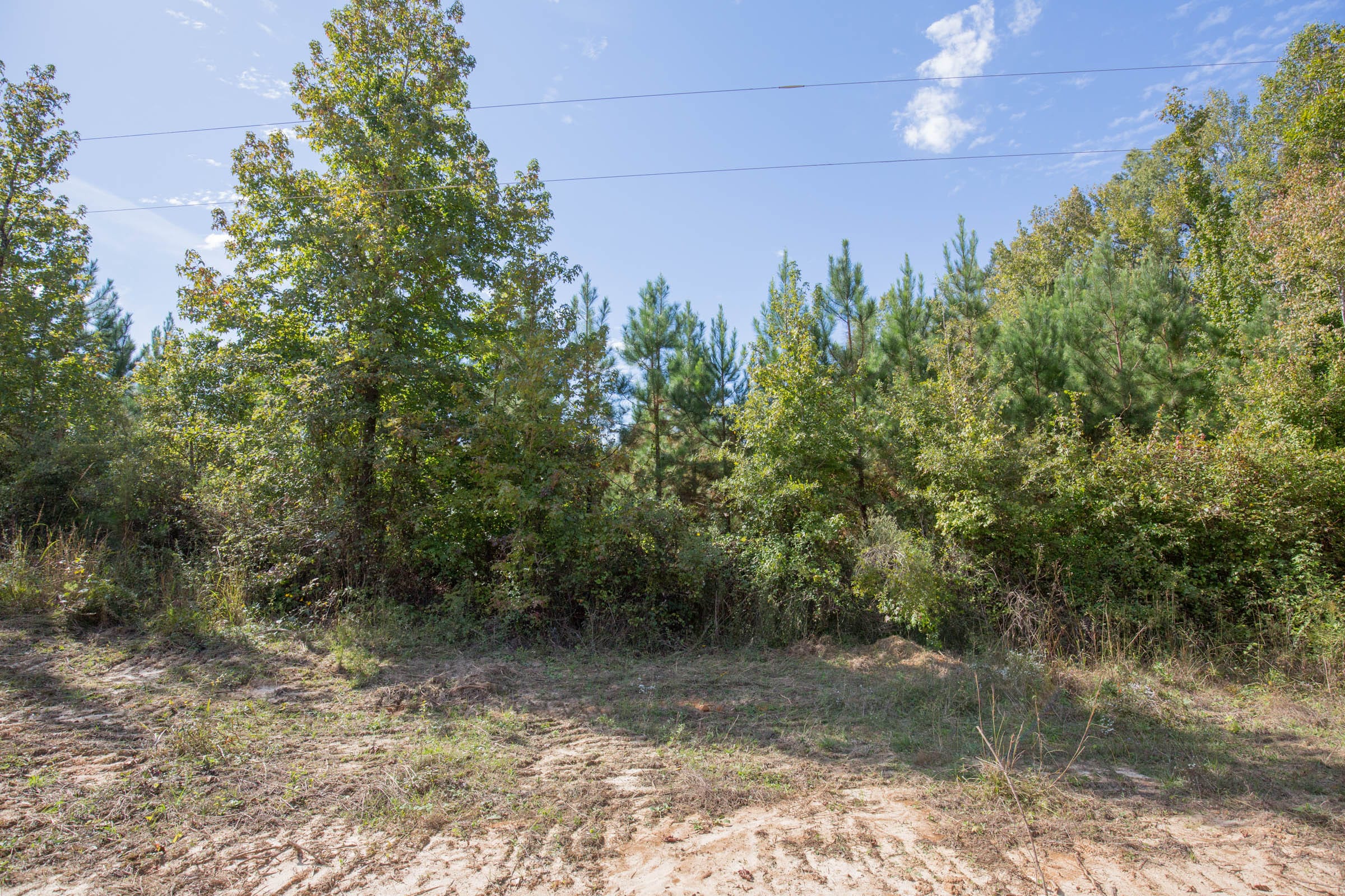 Brentwood Tract 9 photo 2