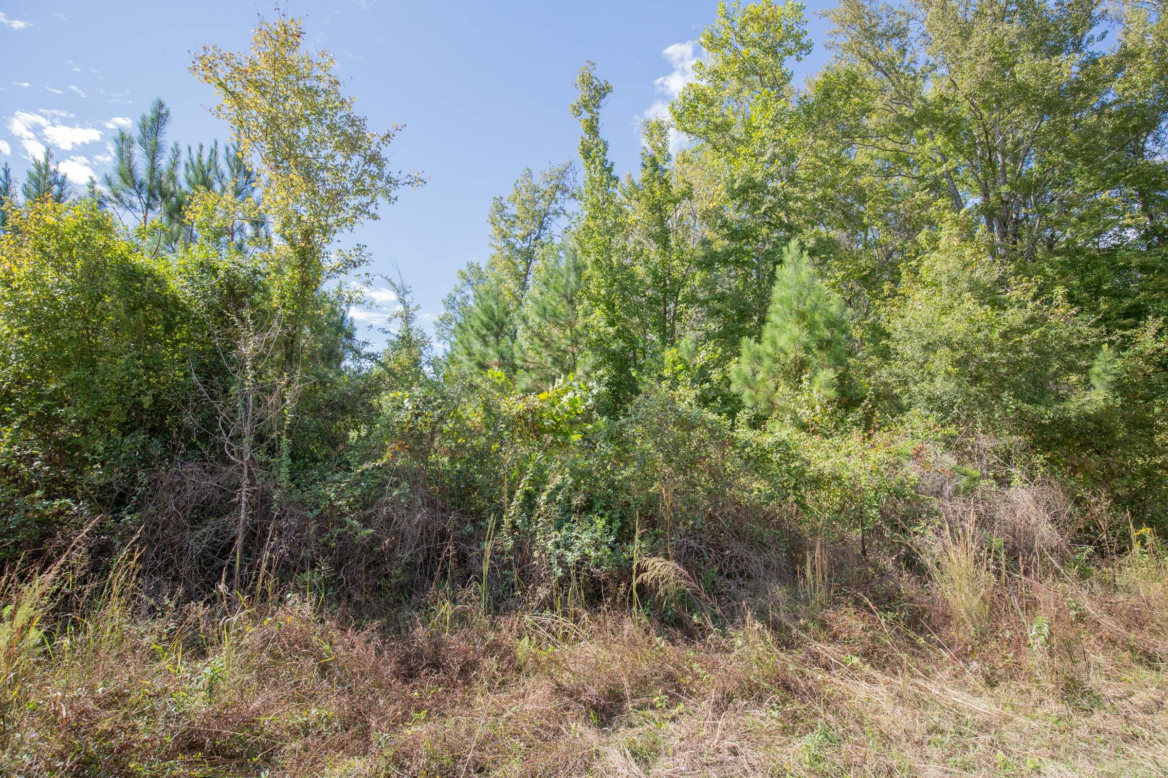 Brentwood Tract 9 photo 4