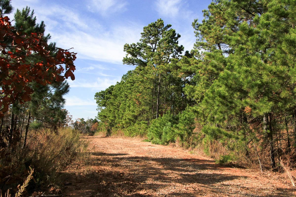 Stone Creek Phase III Tract 53 photo 2