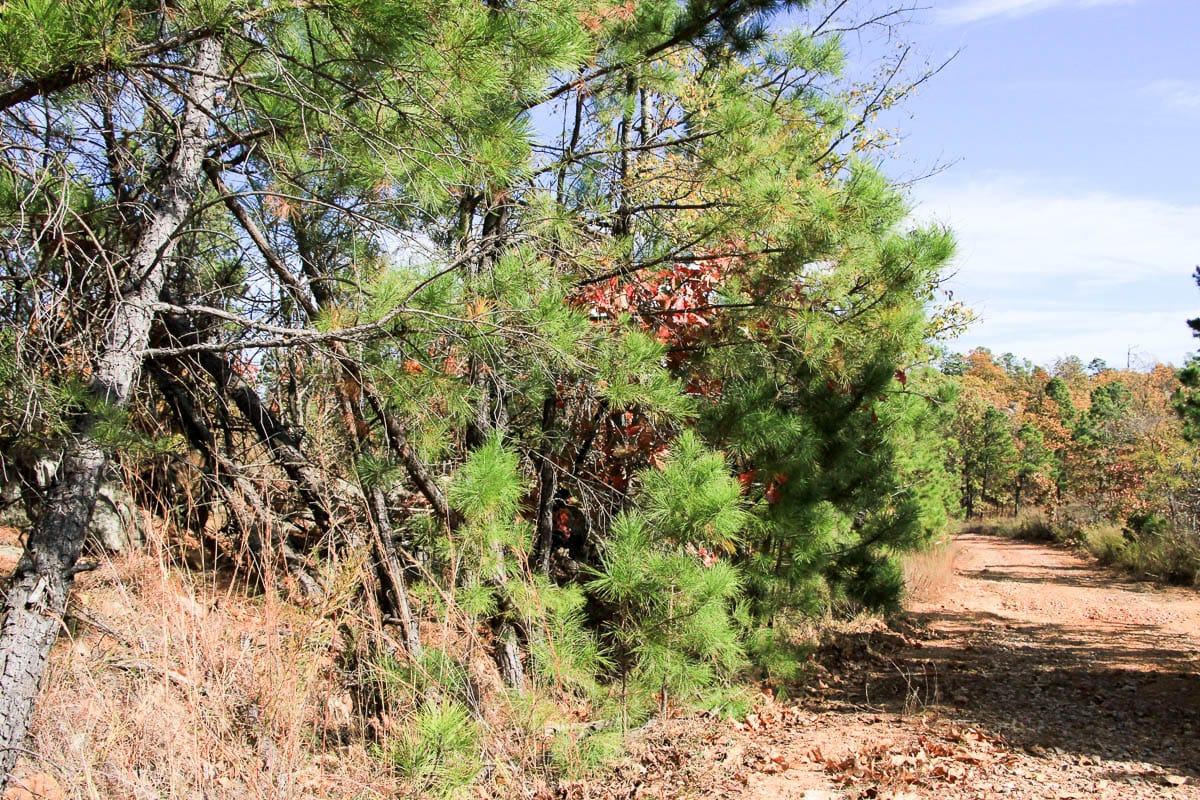 Stone Creek Phase III Tract 53 photo 4