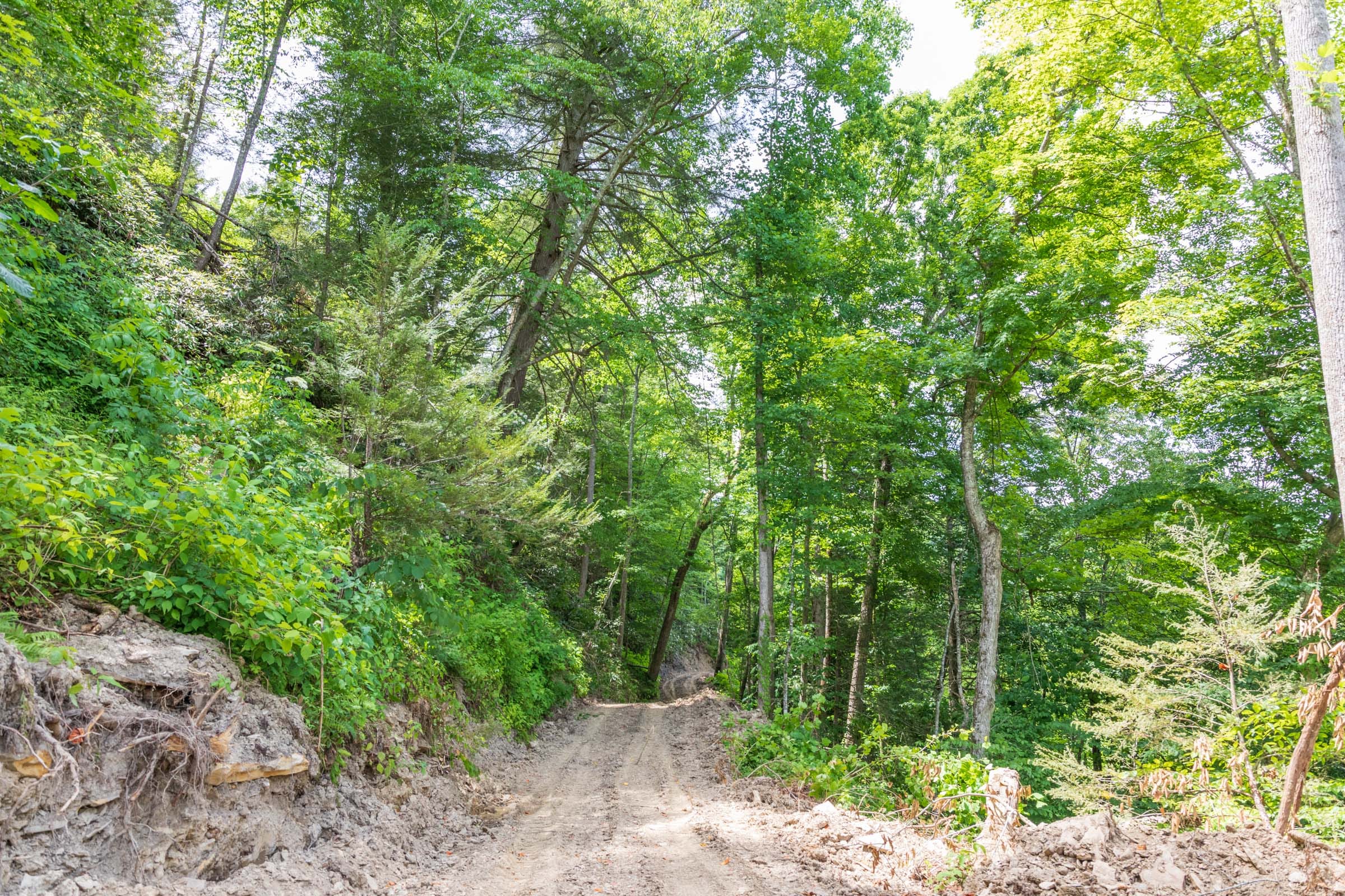 River’s Edge Tract 27 photo 1