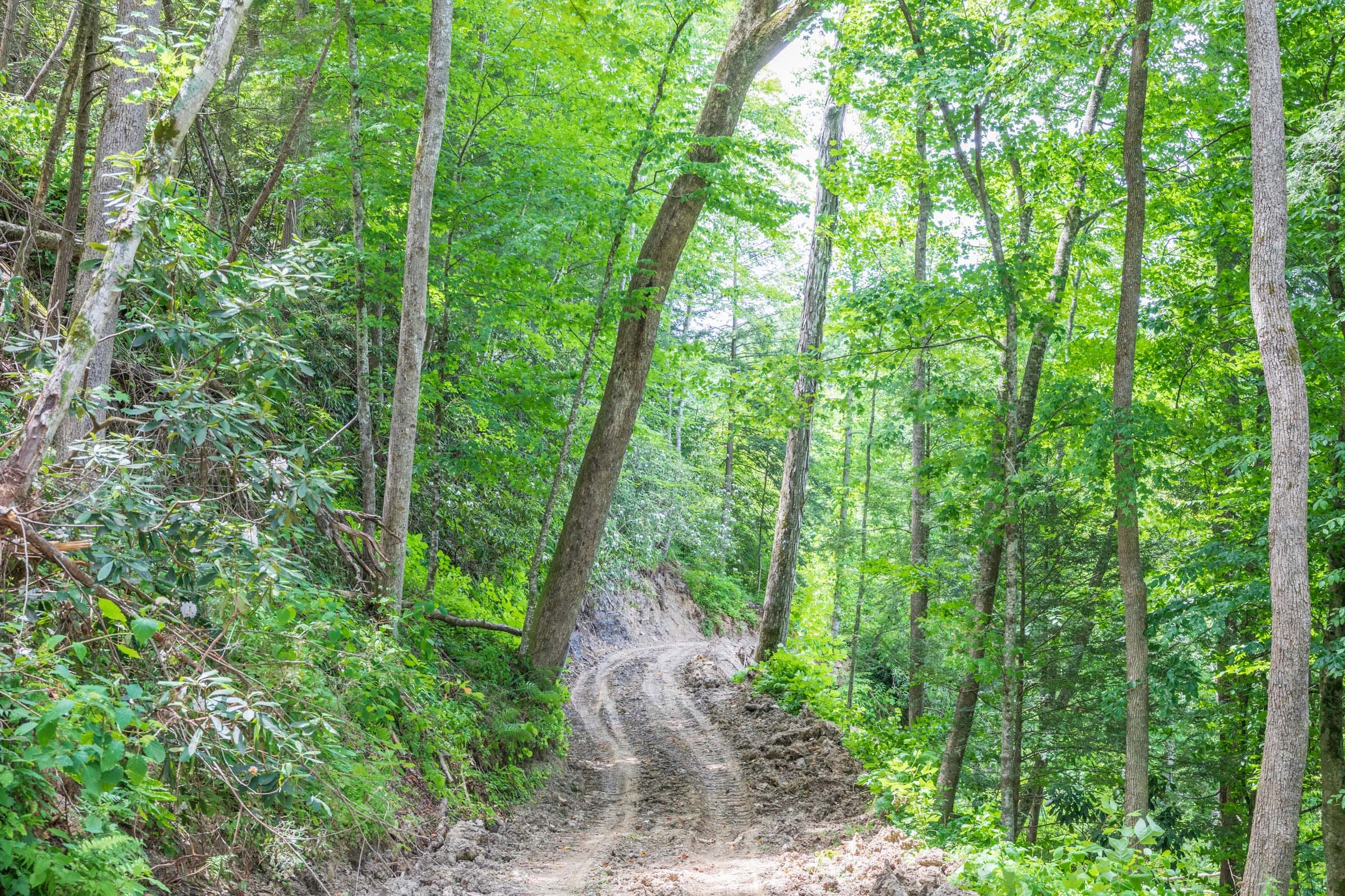 River’s Edge Tract 27 photo 3