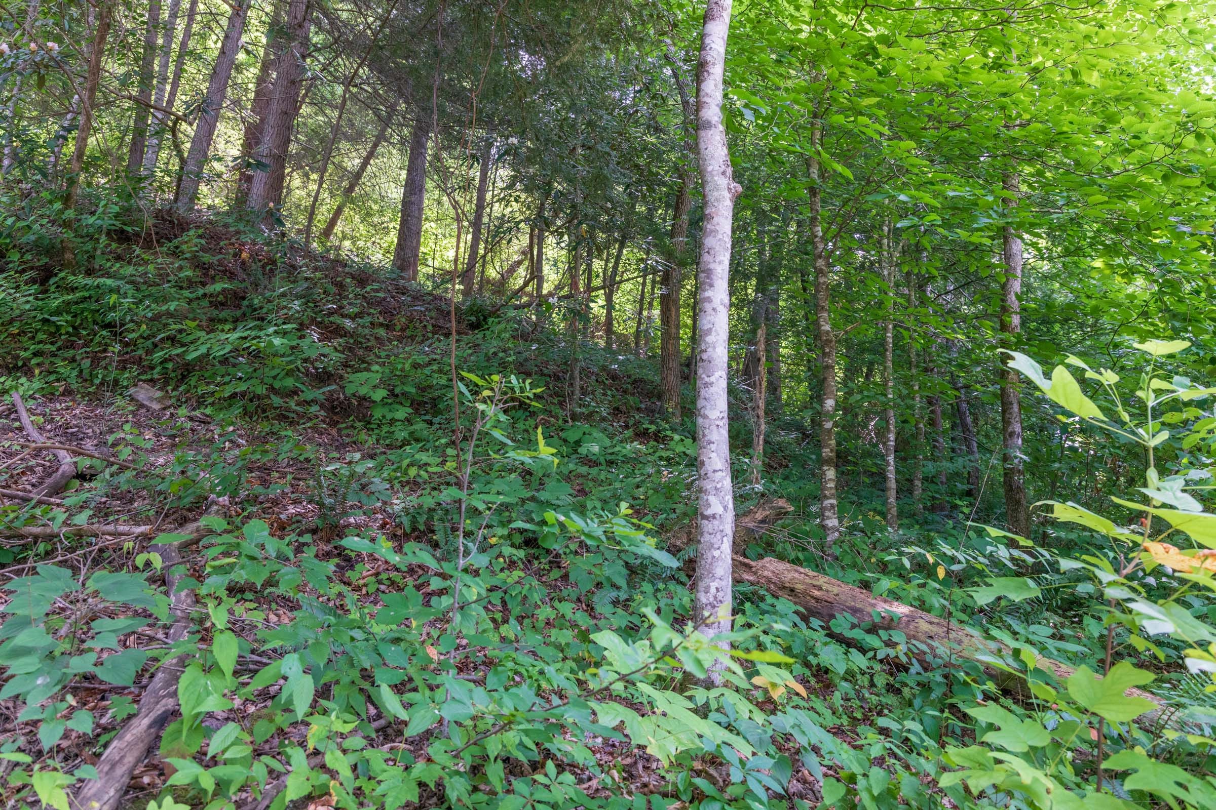 River’s Edge Tract 27 photo 11