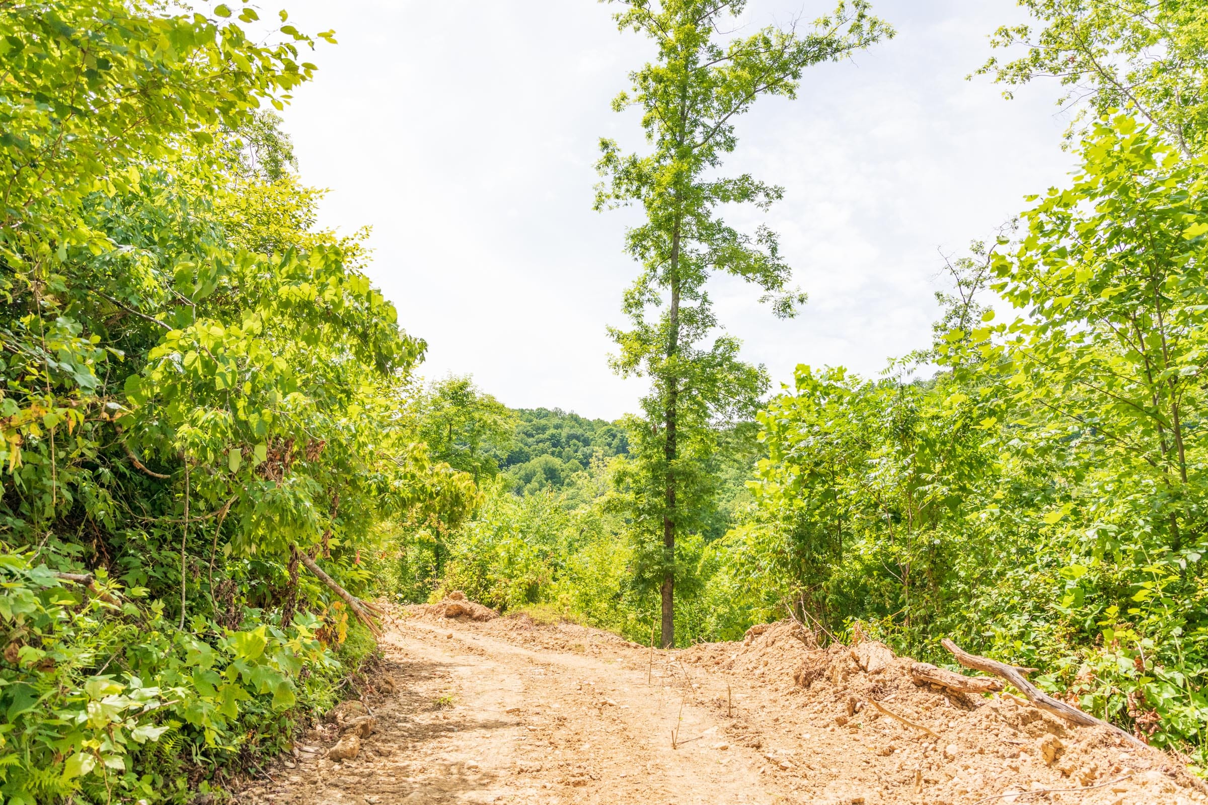 River’s Edge Tract 27 photo 6