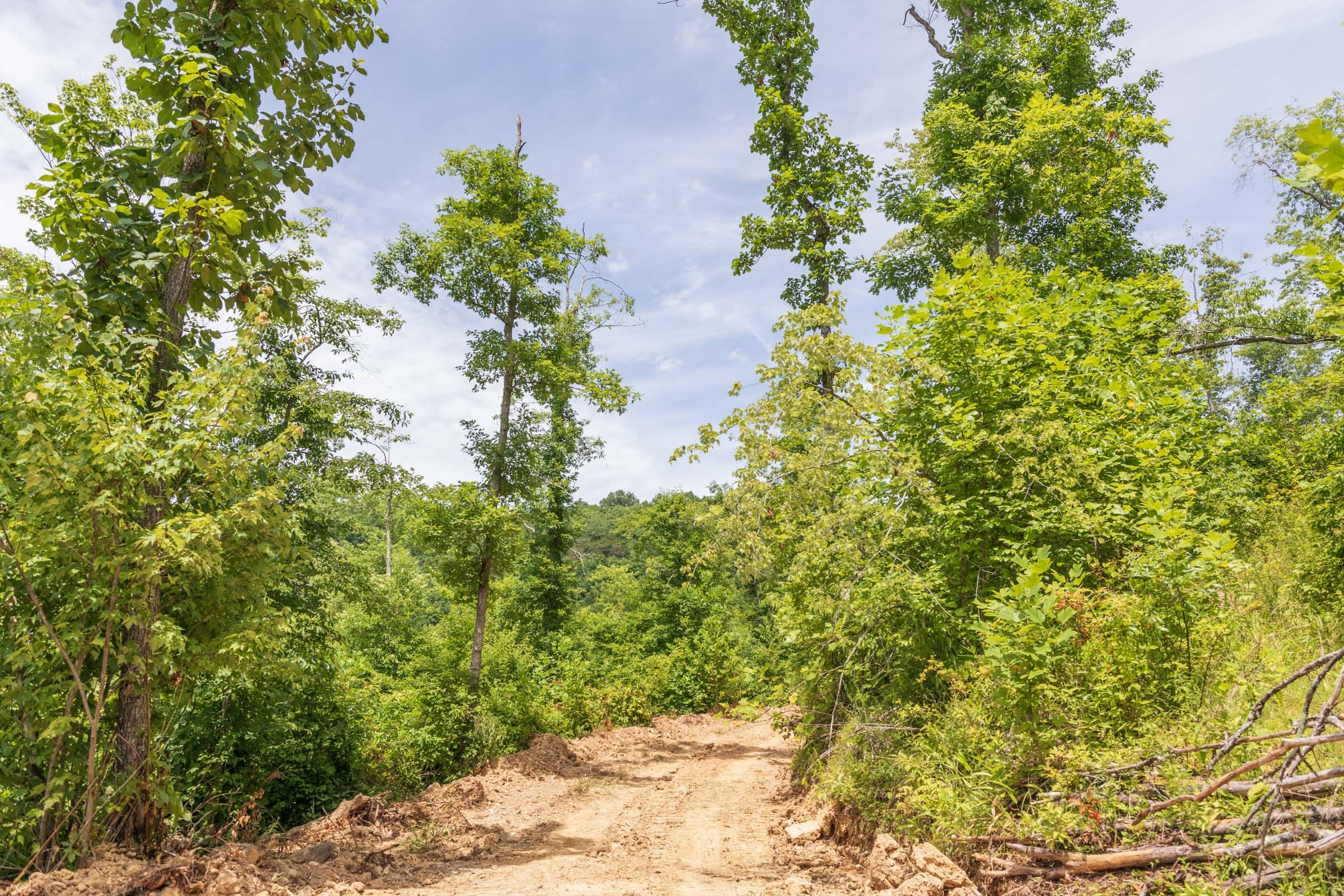 River’s Edge Tract 27 photo 10
