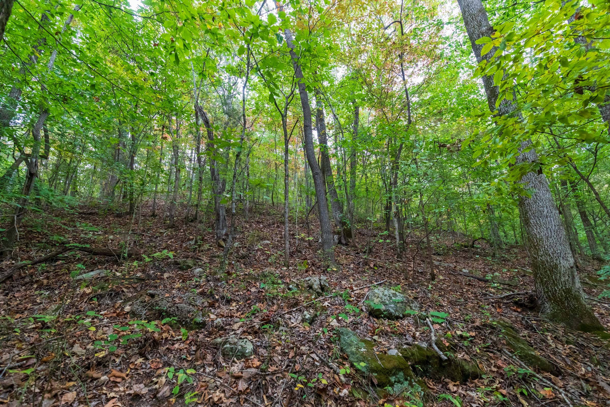 Copper Ridge Tract 5 photo 16