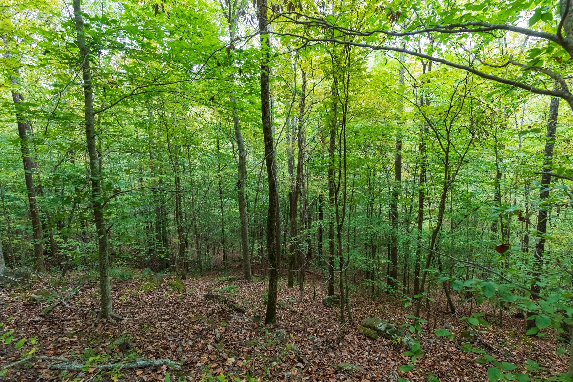 Copper Ridge Tract 5 photo 14