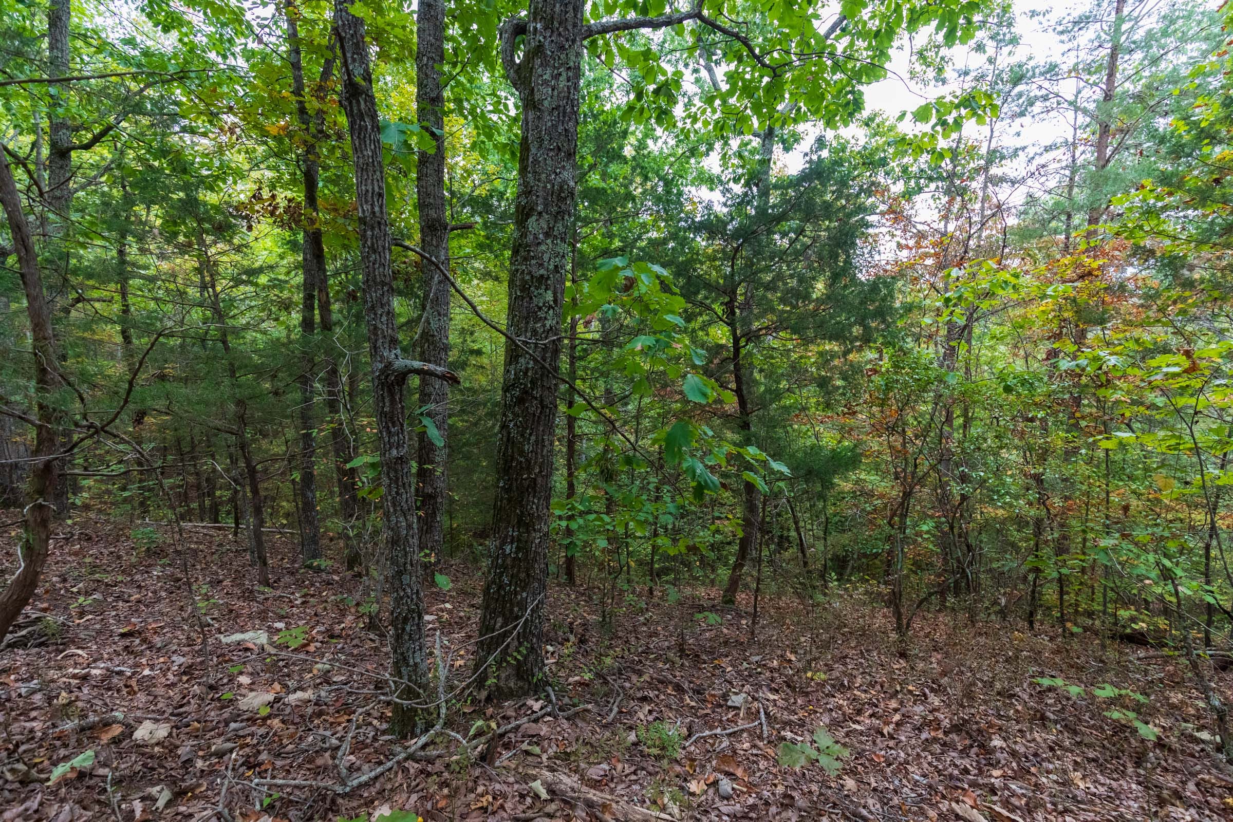 Copper Ridge Tract 5 photo 17