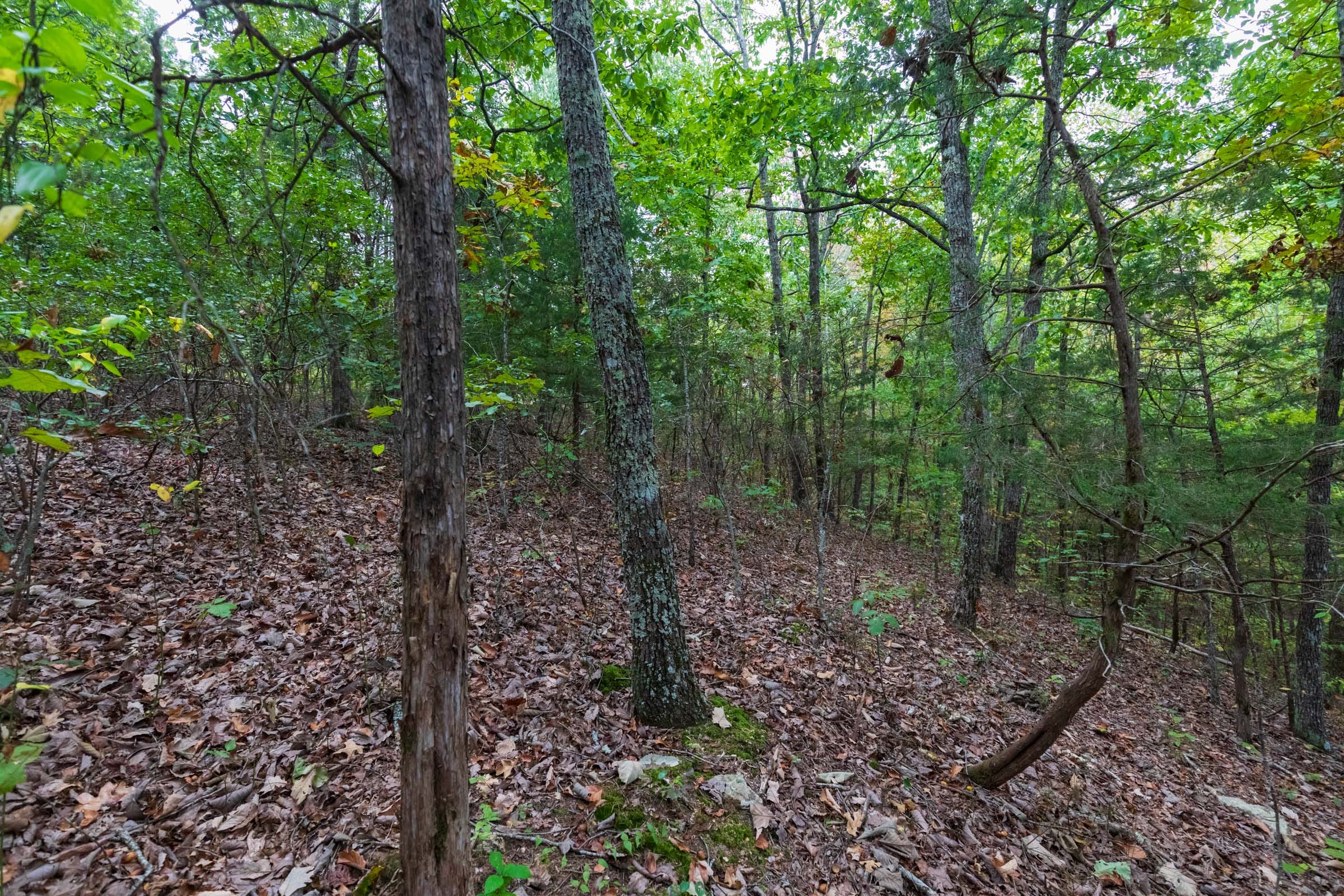 Copper Ridge Tract 5 photo 11