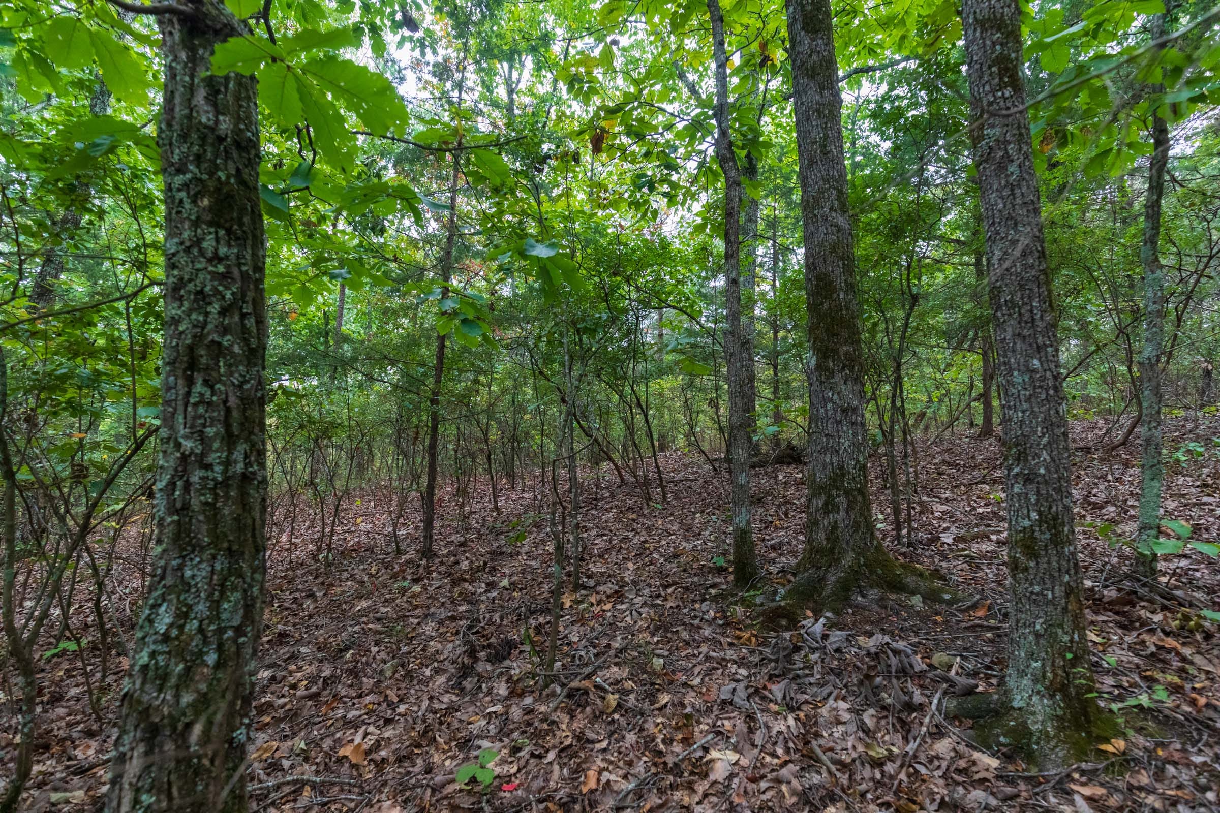 Copper Ridge Tract 5 photo 13