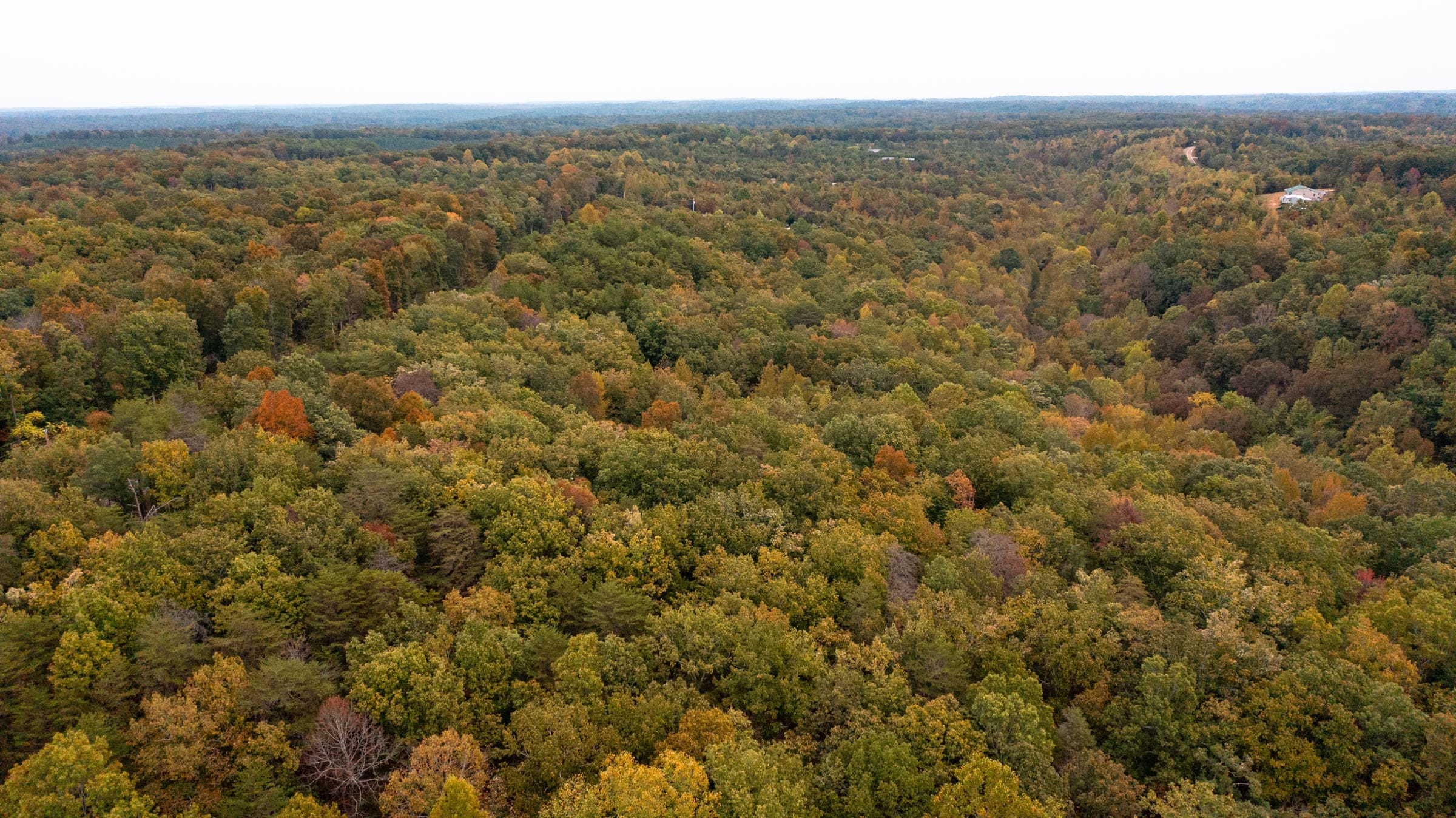 Copper Ridge Tract 5 photo 4