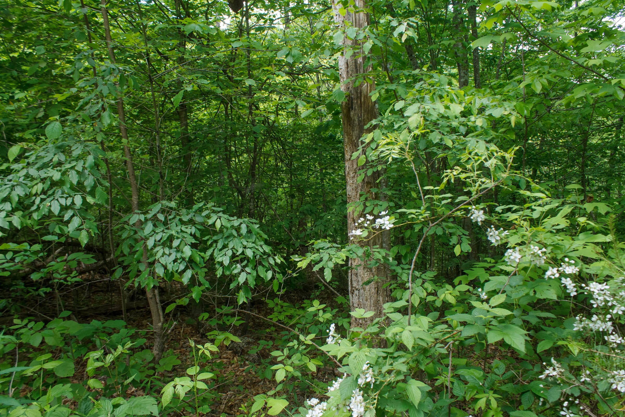Riverbend Tract 17 photo 12