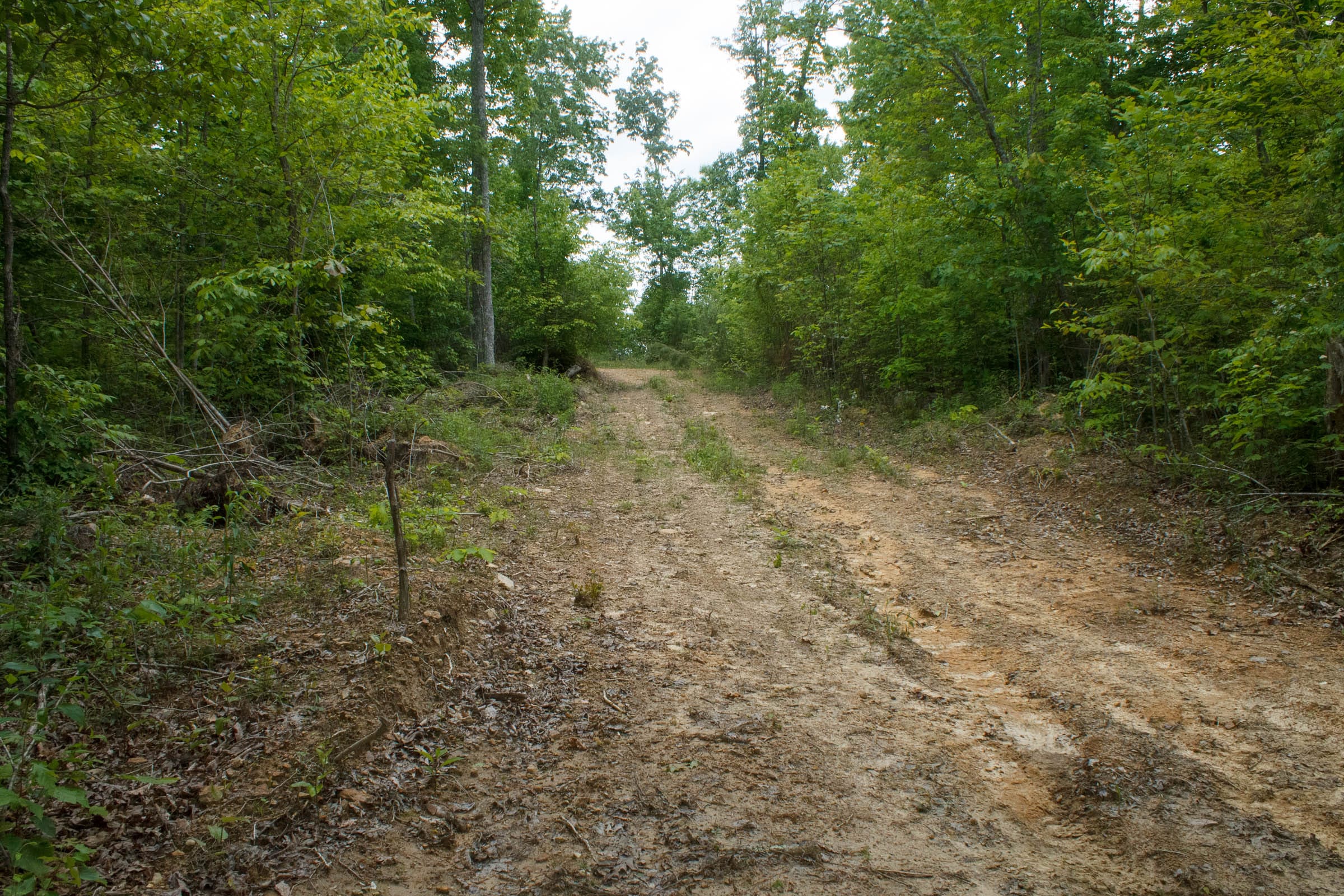 Riverbend Tract 17 photo 1