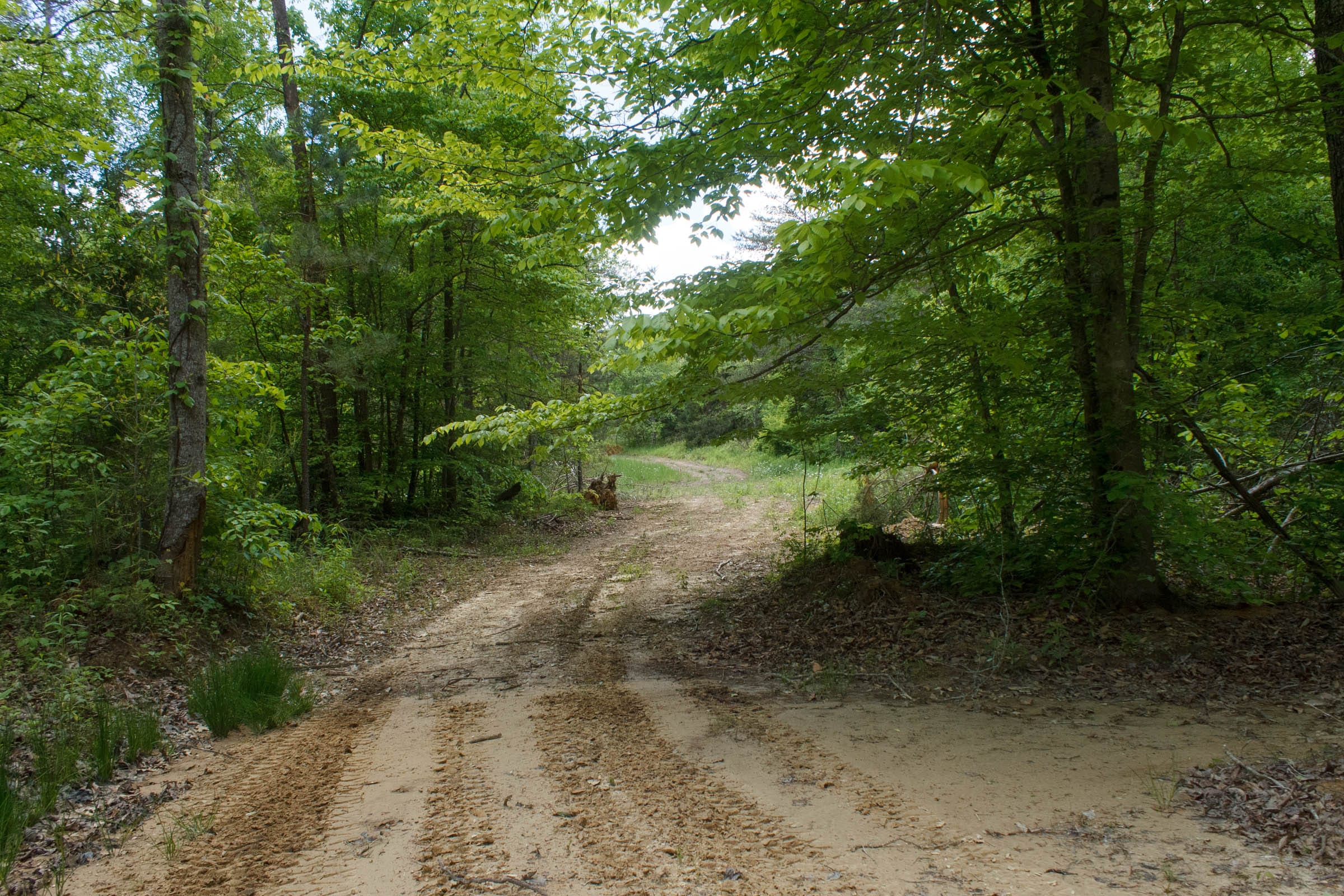 Riverbend Tract 17 photo 16