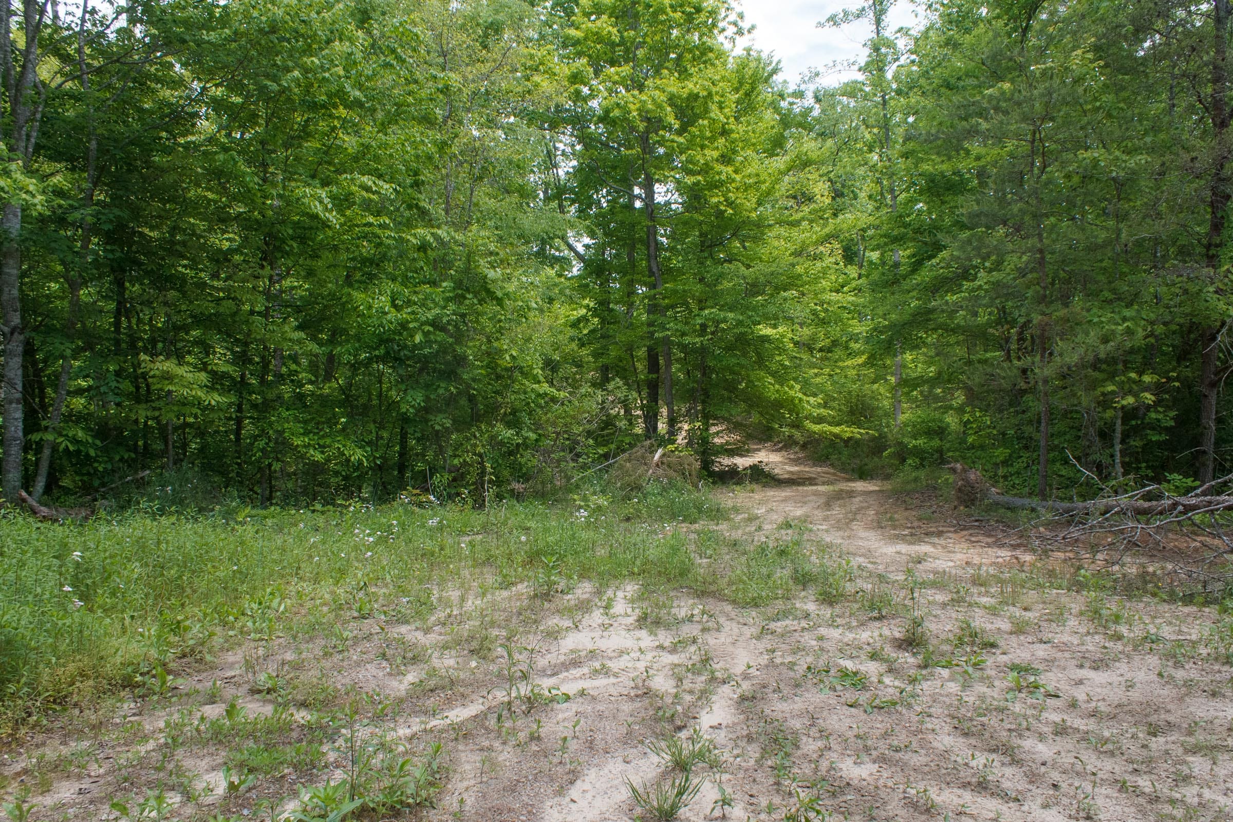 Riverbend Tract 17 photo 24