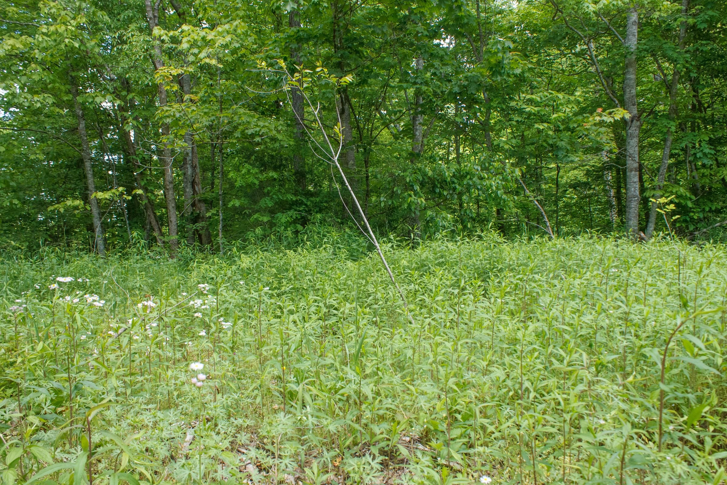 Riverbend Tract 17 photo 22