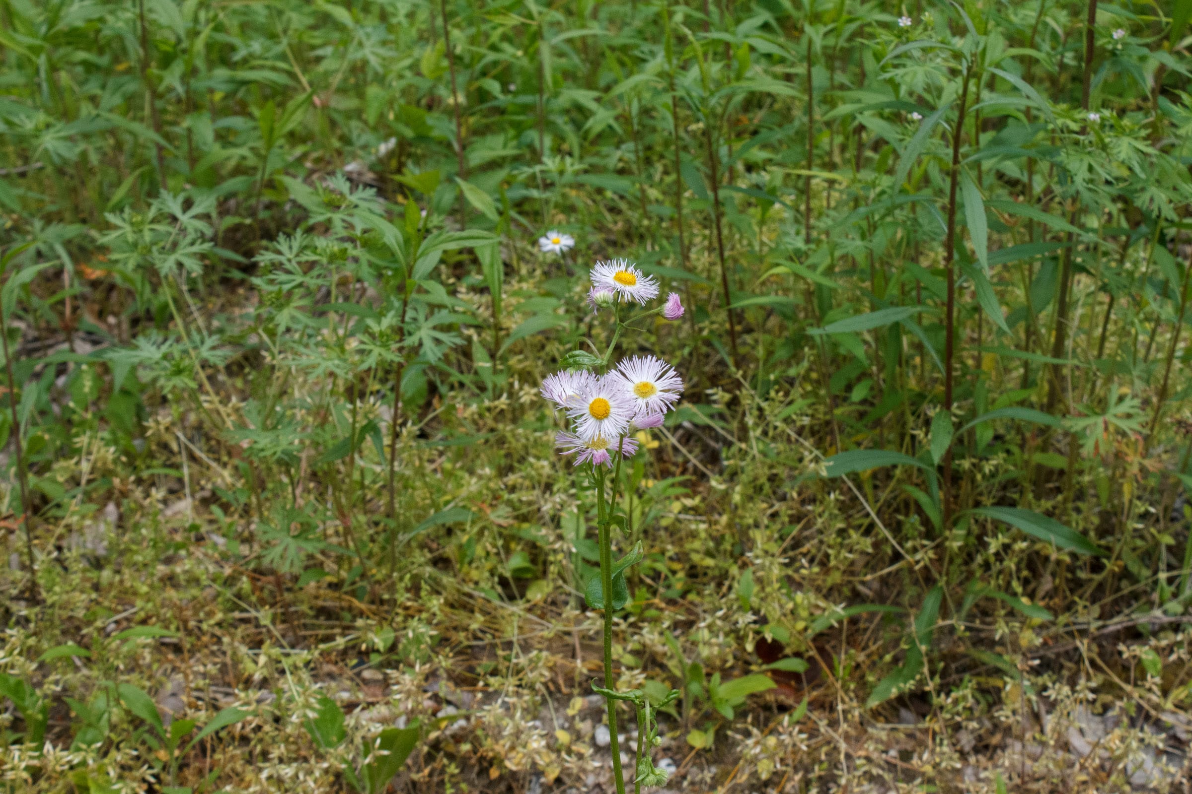 Riverbend Tract 17 photo 23