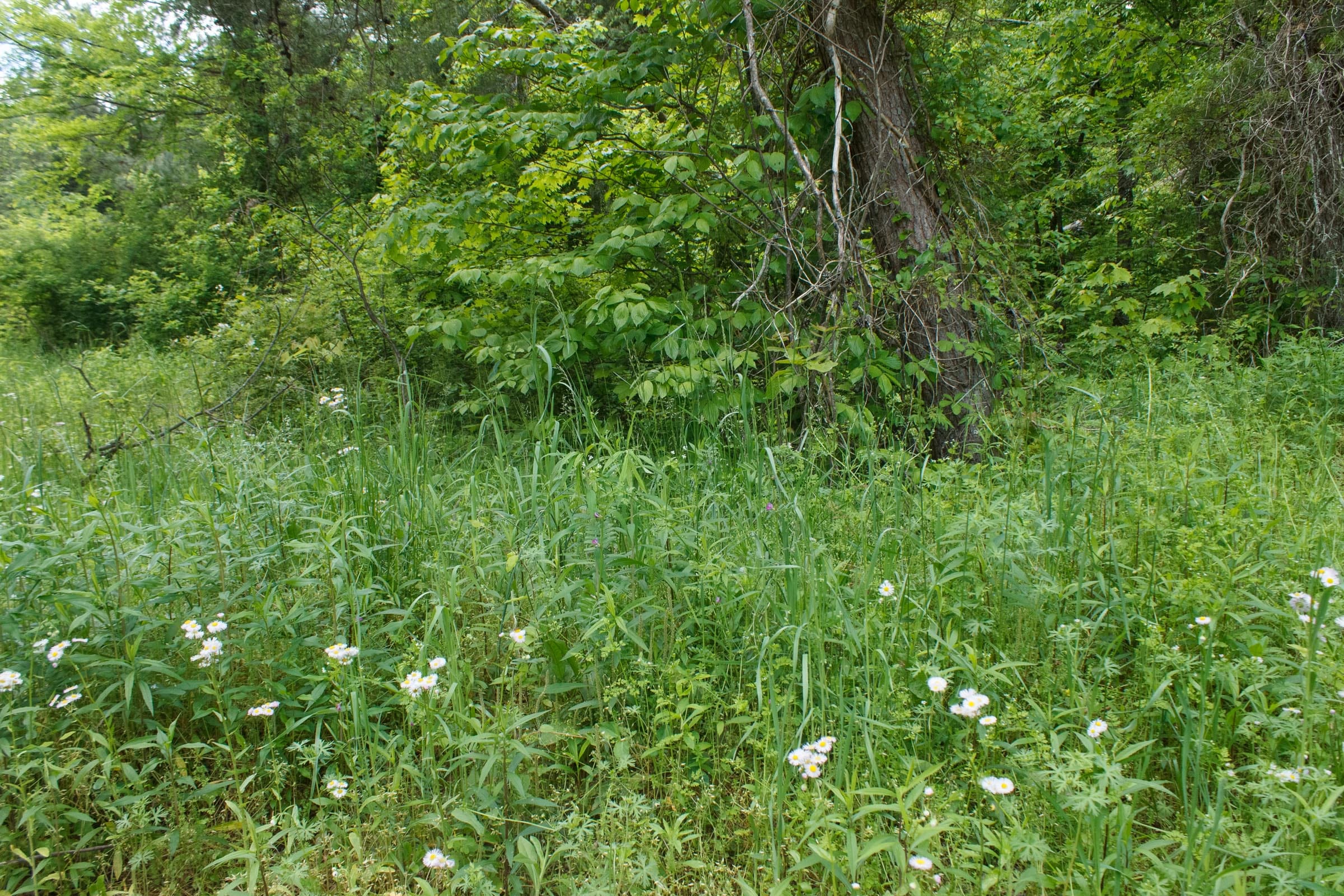 Riverbend Tract 17 photo 25