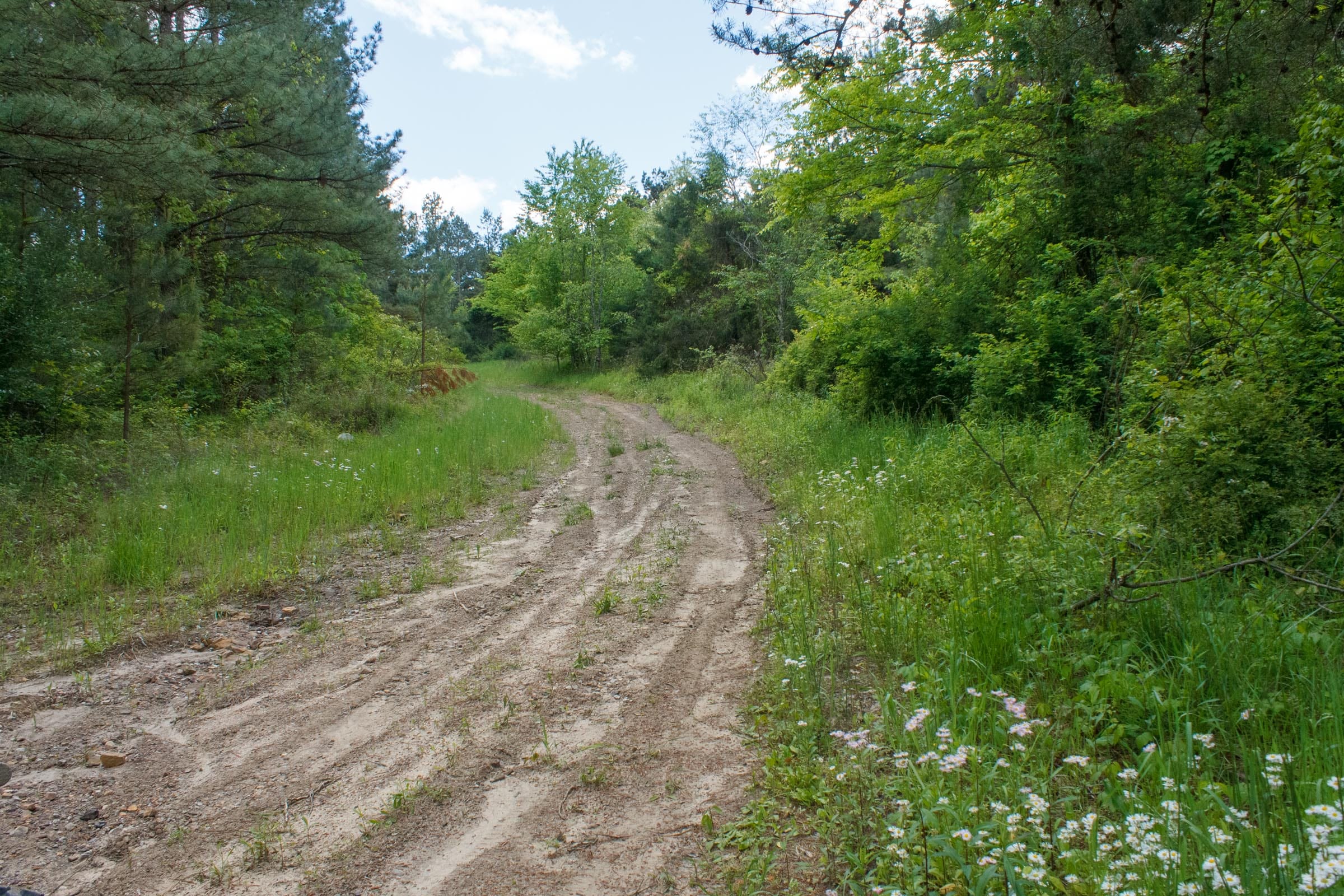 Riverbend Tract 17 photo 8